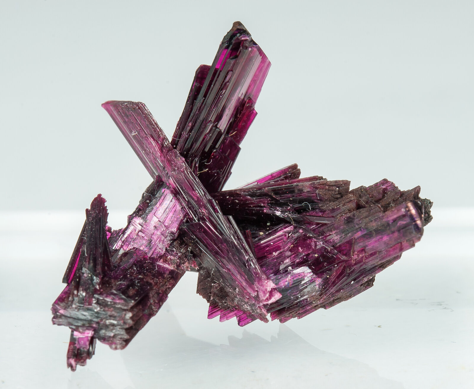 specimens/s_imagesAP9/Erythrite-TBB27AP9s1.jpg