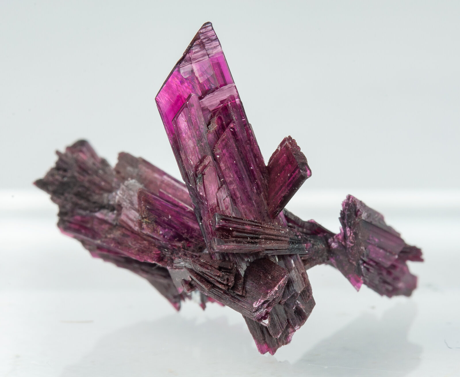 specimens/s_imagesAP9/Erythrite-TBB27AP9s2.jpg