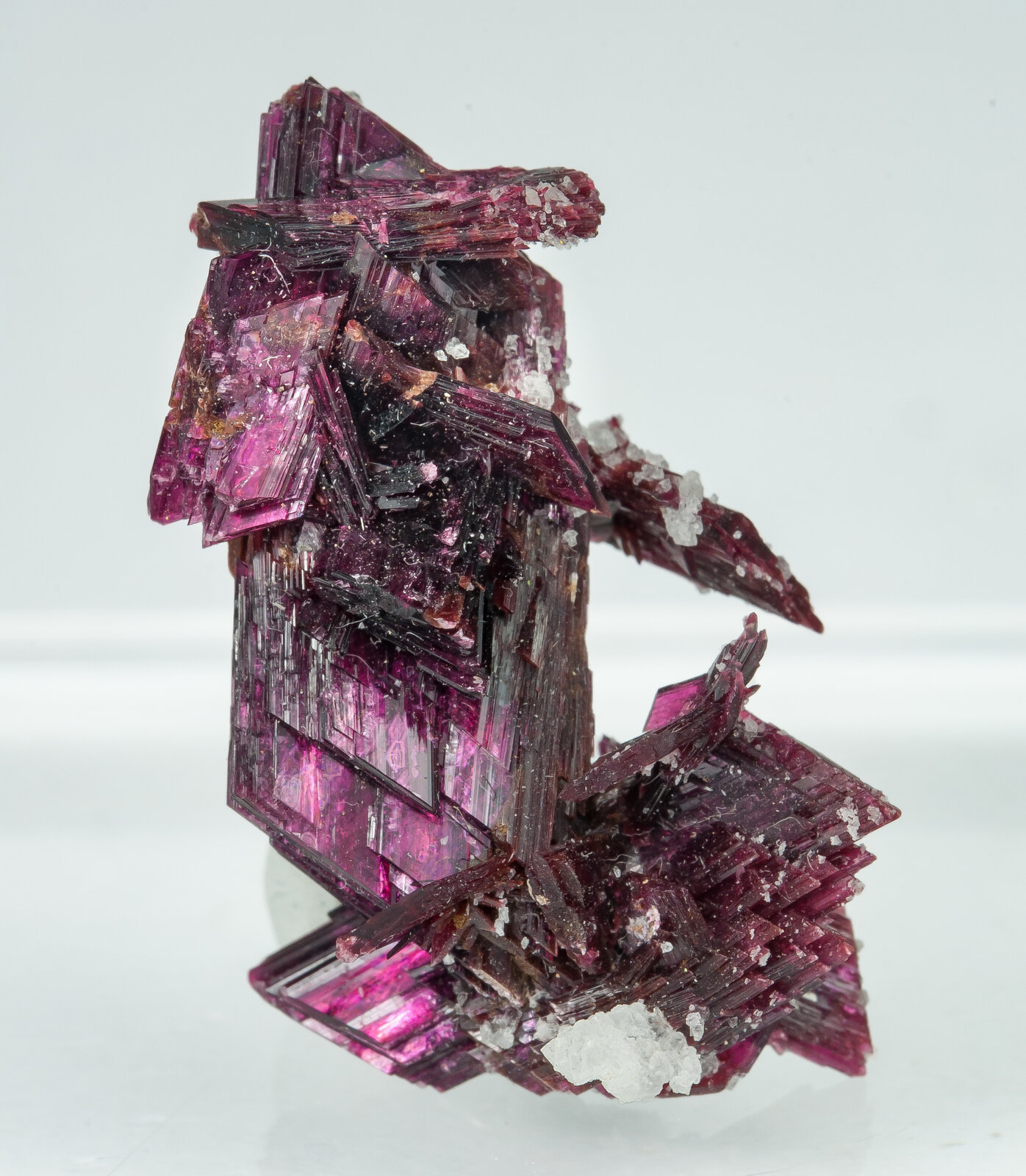 specimens/s_imagesAP9/Erythrite-TBC47AP9f.jpg