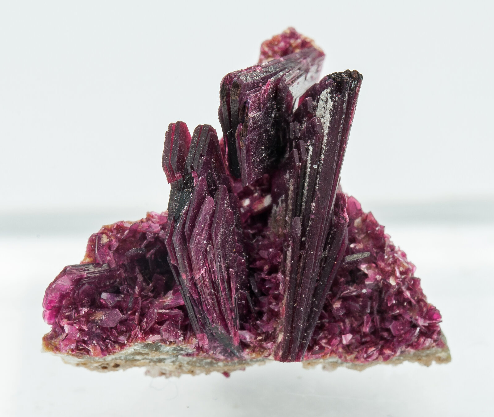 specimens/s_imagesAP9/Erythrite-TBD27AP9s.jpg