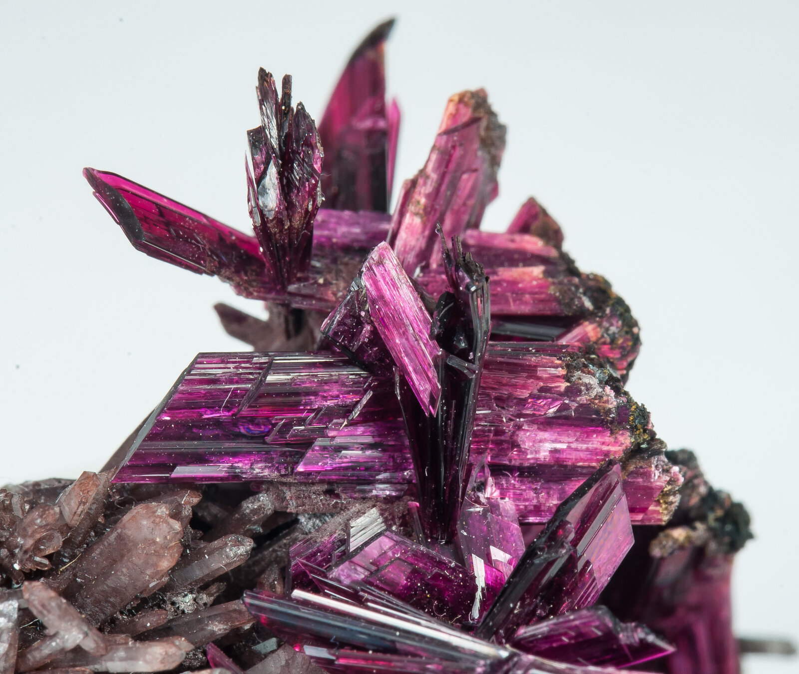 specimens/s_imagesAP9/Erythrite-TBF67AP9d1.jpg