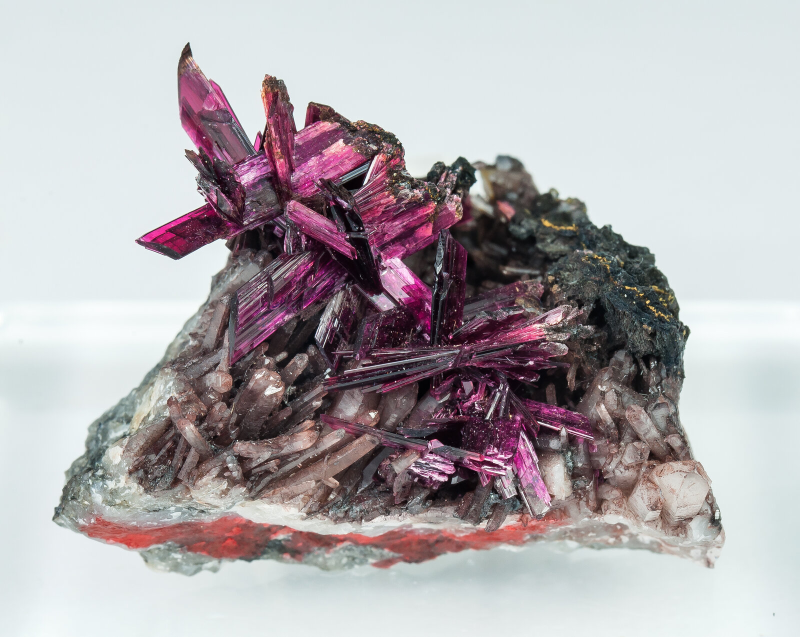 specimens/s_imagesAP9/Erythrite-TBF67AP9f.jpg