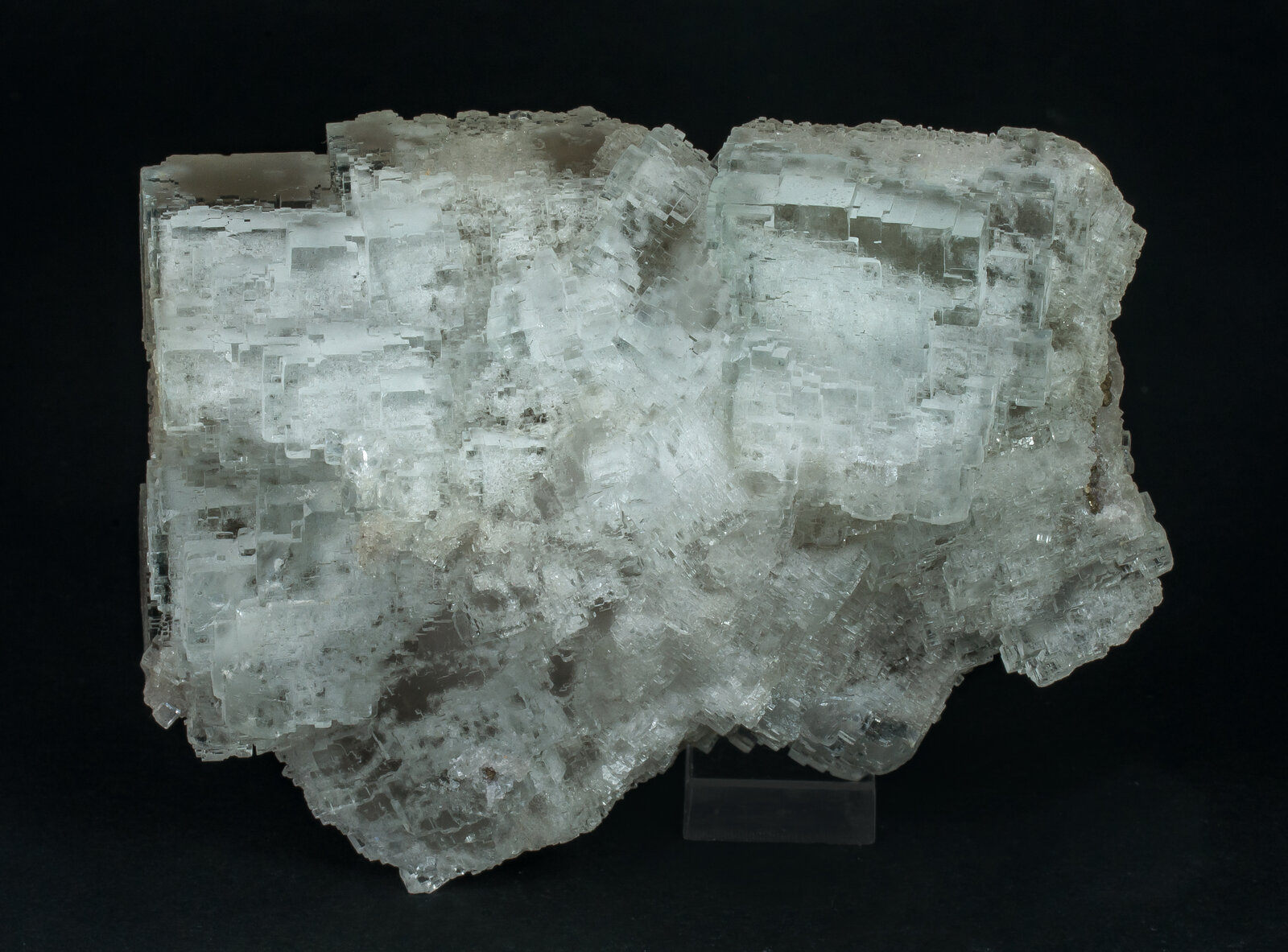 specimens/s_imagesAP9/Fluorite-NXA98AP9r.jpg