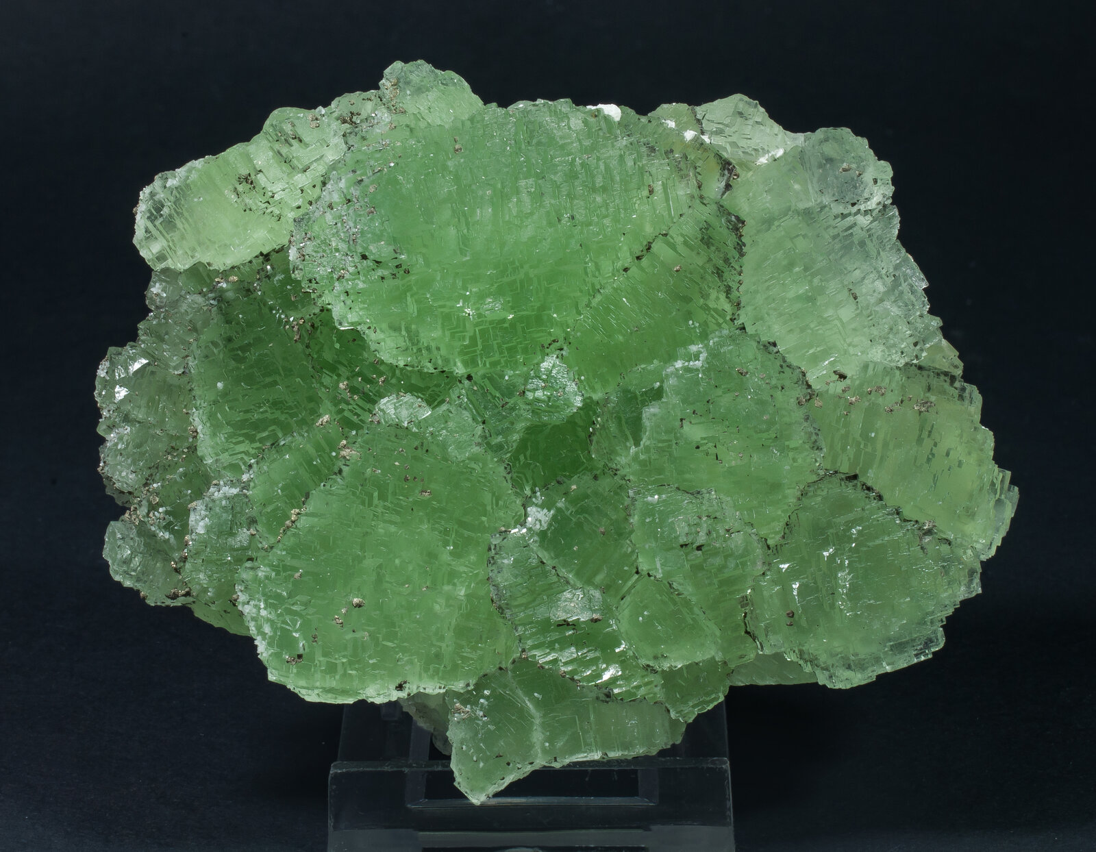 specimens/s_imagesAP9/Fluorite-TGH37AP9s.jpg