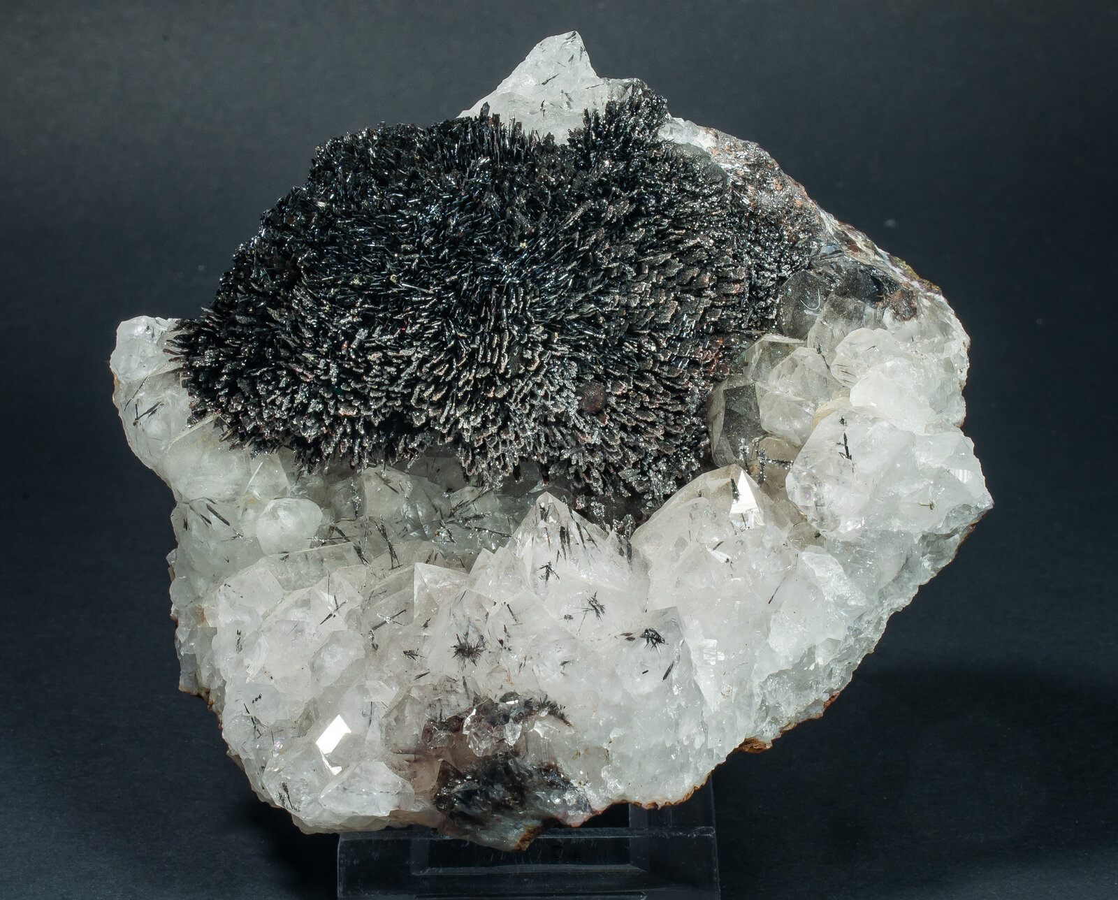 specimens/s_imagesAP9/Goethite-TXB14AP9f.jpg