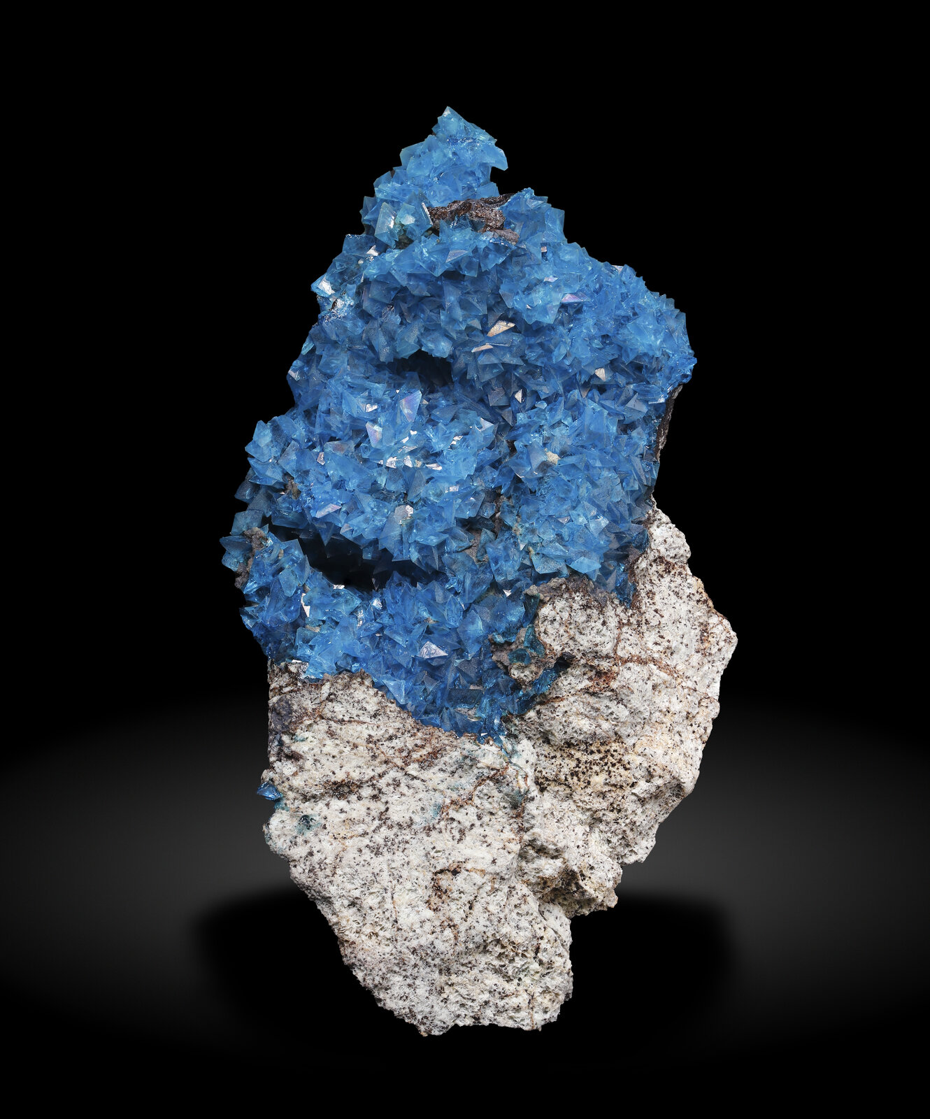 specimens/s_imagesAP9/Liroconite-TFA36AP9_4260_f.jpg