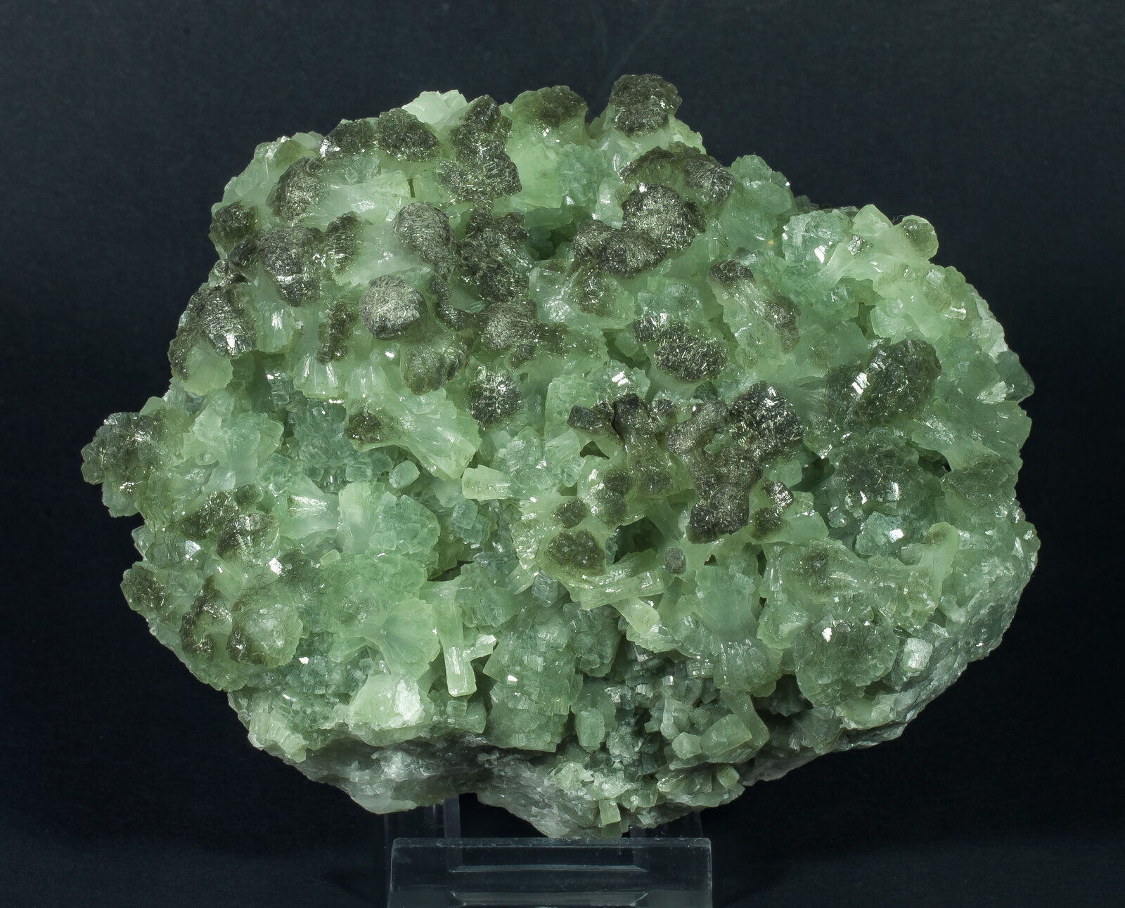 specimens/s_imagesAP9/Prehnite-TJD87AP9f.jpg