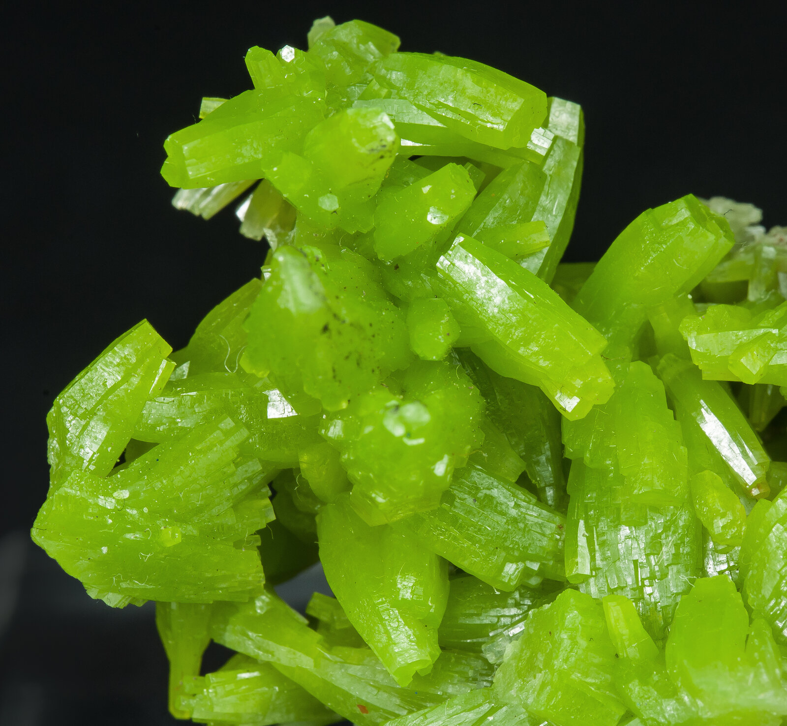 specimens/s_imagesAP9/Pyromorphite-CLM47AP9d.jpg