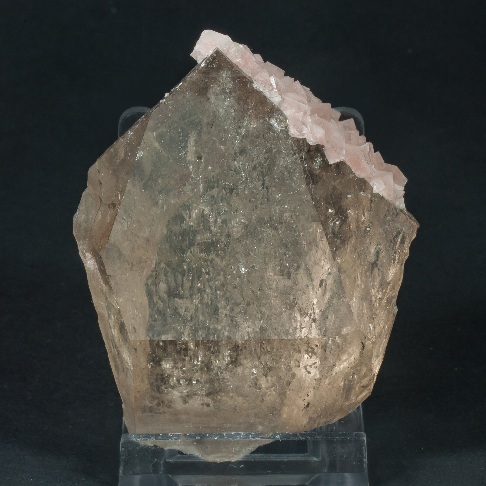 specimens/s_imagesAP9/Quartz-TCH92AP9f.jpg