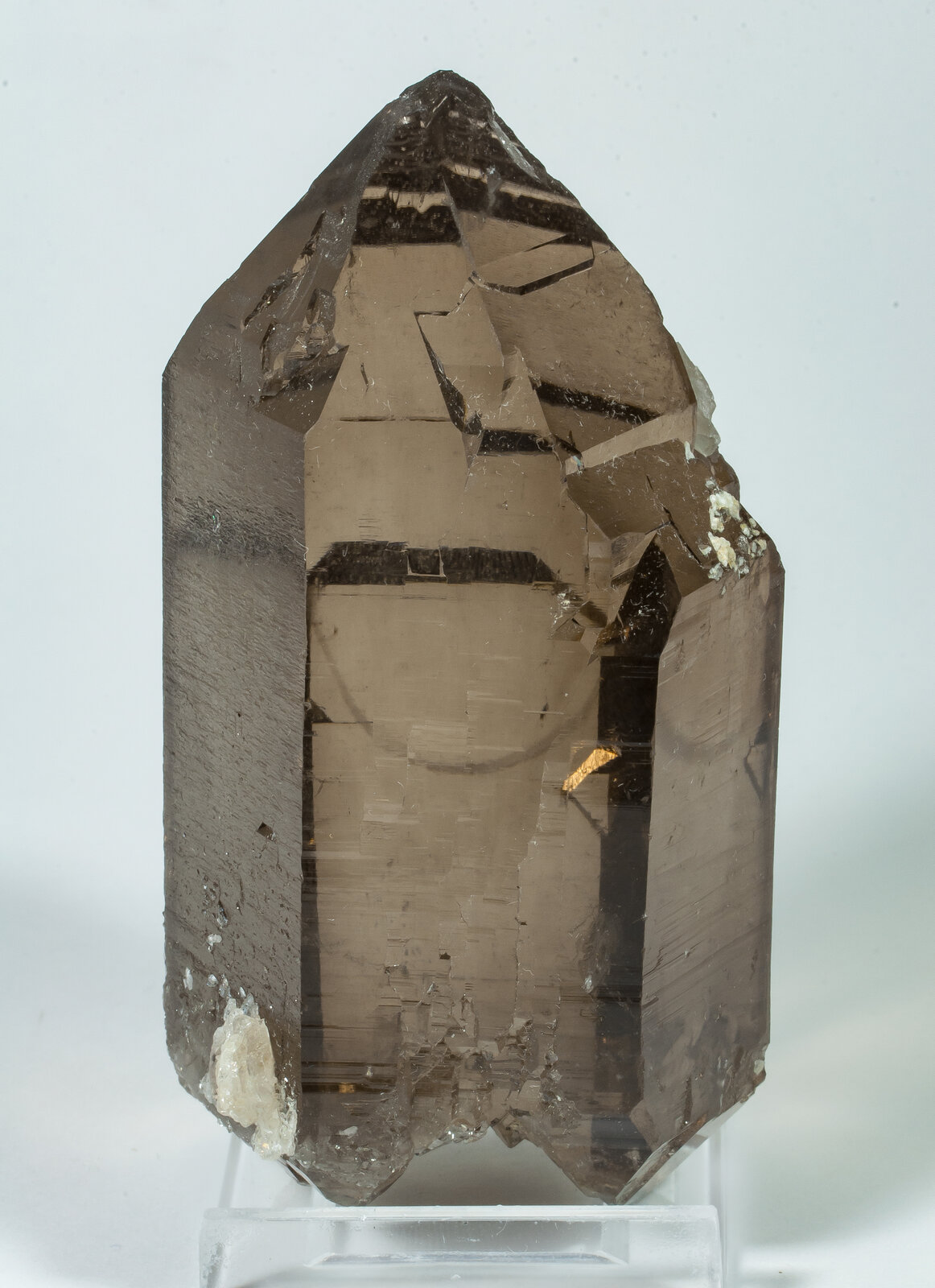 specimens/s_imagesAP9/Quartz-TJB51AP9f.jpg