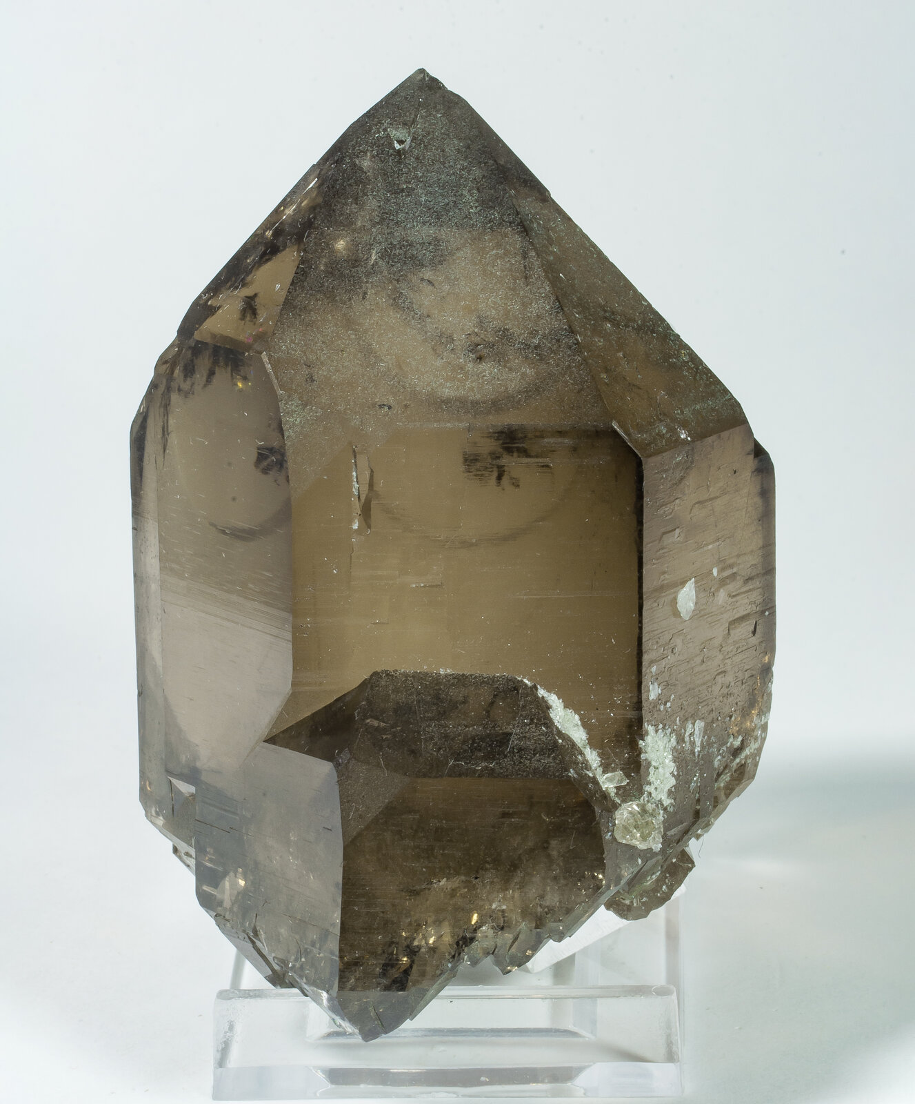 specimens/s_imagesAP9/Quartz-TXL92AP9r.jpg