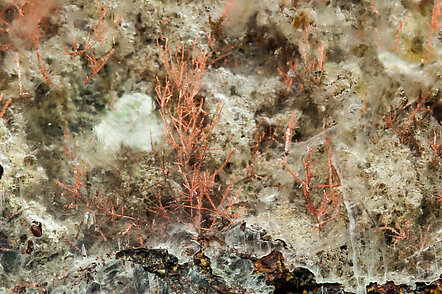 Gypsum (variety selenite) with Copper inclusions