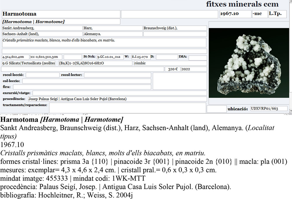 specimens/s_imagesAP9/SV2240CFA-etiqueta.jpg