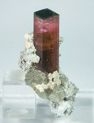 Elbaite-Schorl Series (variety rubellite) with Microcline, Albite and Quartz