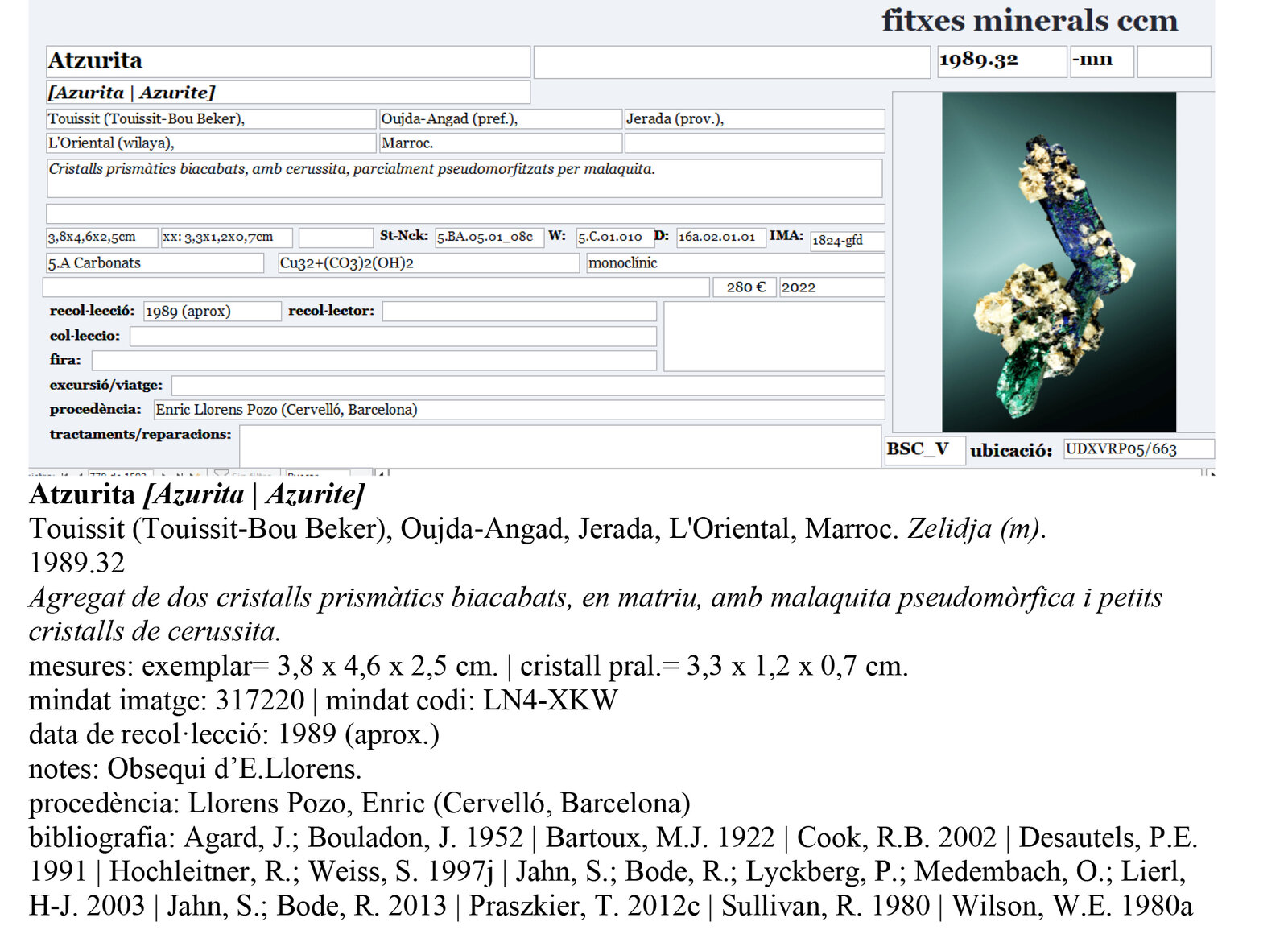 specimens/s_imagesAP9/SV2280CJR-etiqueta.jpg