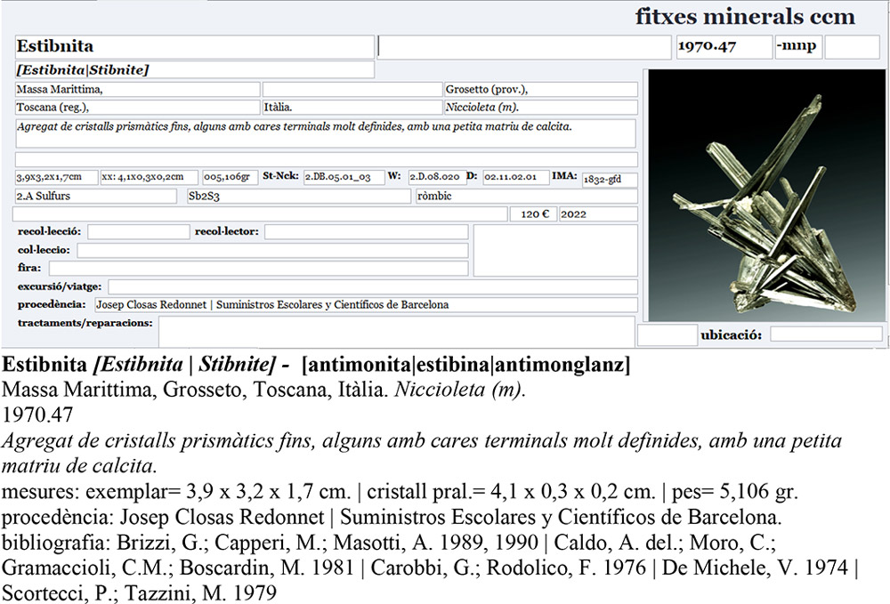 specimens/s_imagesAP9/SV290CFB-etiquata.jpg