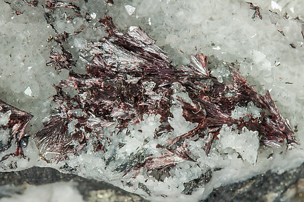 Kermesite with Quartz, Chalcopyrite and Stibnite