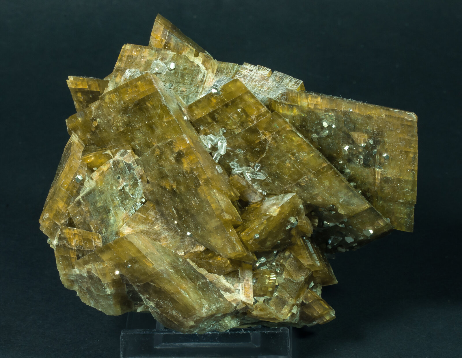 specimens/s_imagesAP9/Siderite-TFR88AP9s.jpg