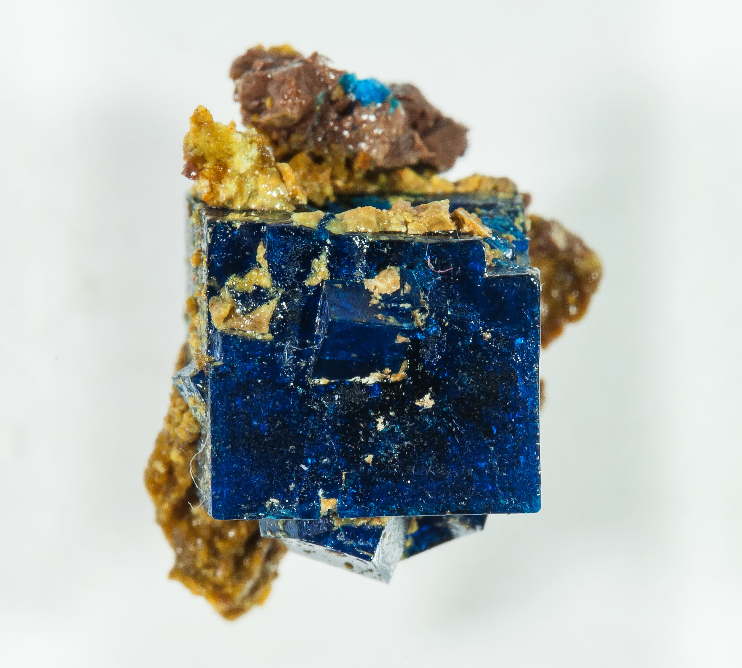 specimens/s_imagesAQ0/Boleite-BMM91AQ0t.jpg