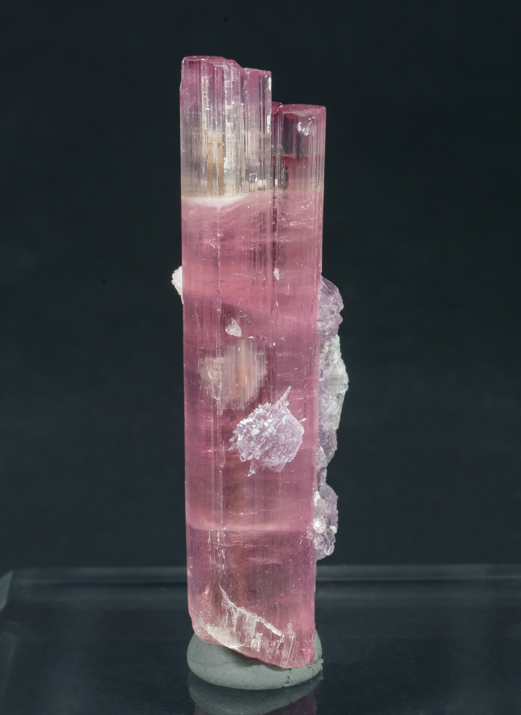 specimens/s_imagesAQ0/Elbaite-TXR89AQ0f.jpg