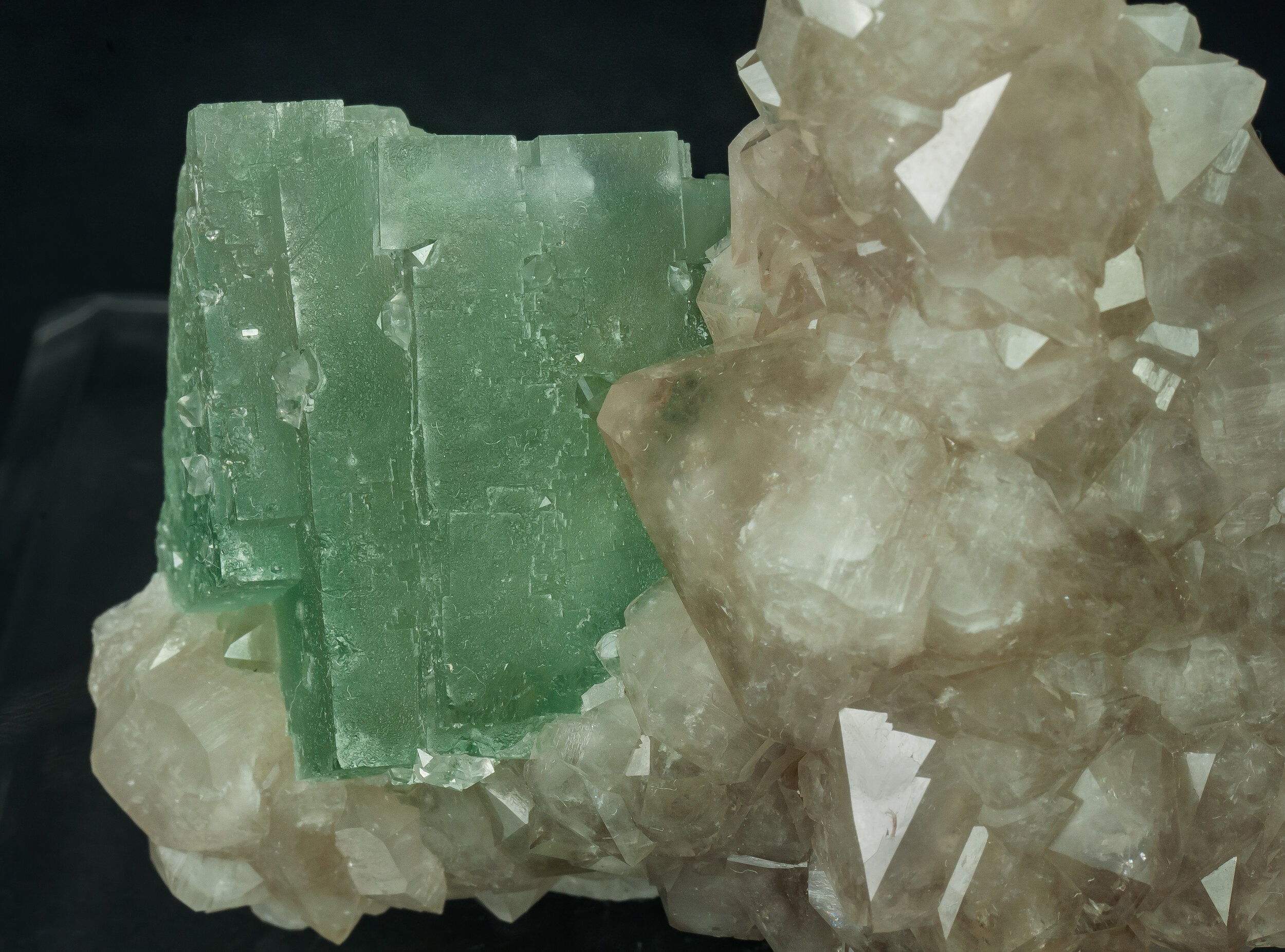 specimens/s_imagesAQ0/Fluorite-TBX86AQ0d.jpg