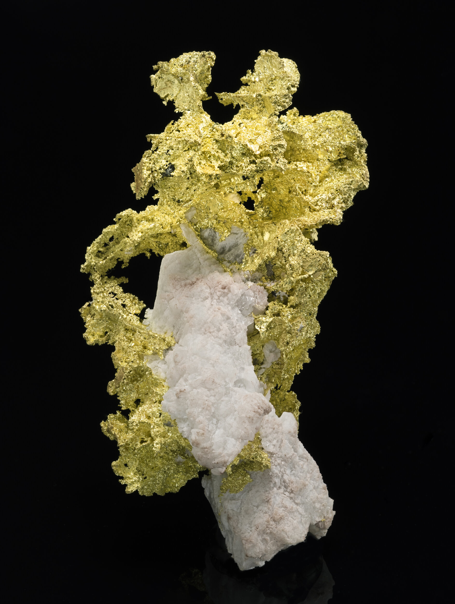 specimens/s_imagesAQ0/Gold-TXJ99AQ0_2023_0619_015_f.jpg