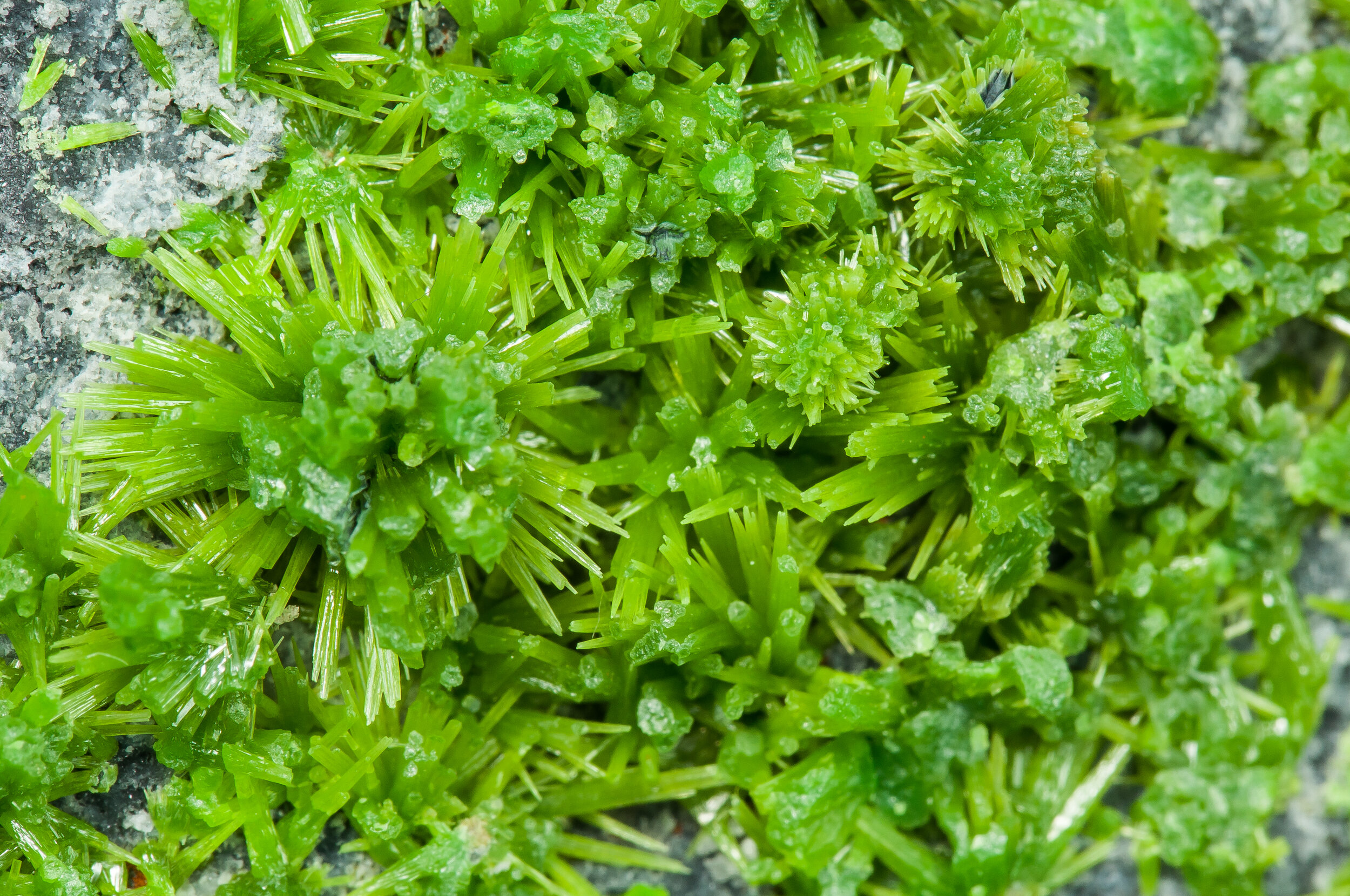 specimens/s_imagesAQ0/Pyromorphite-CBR17AQ0d.jpg