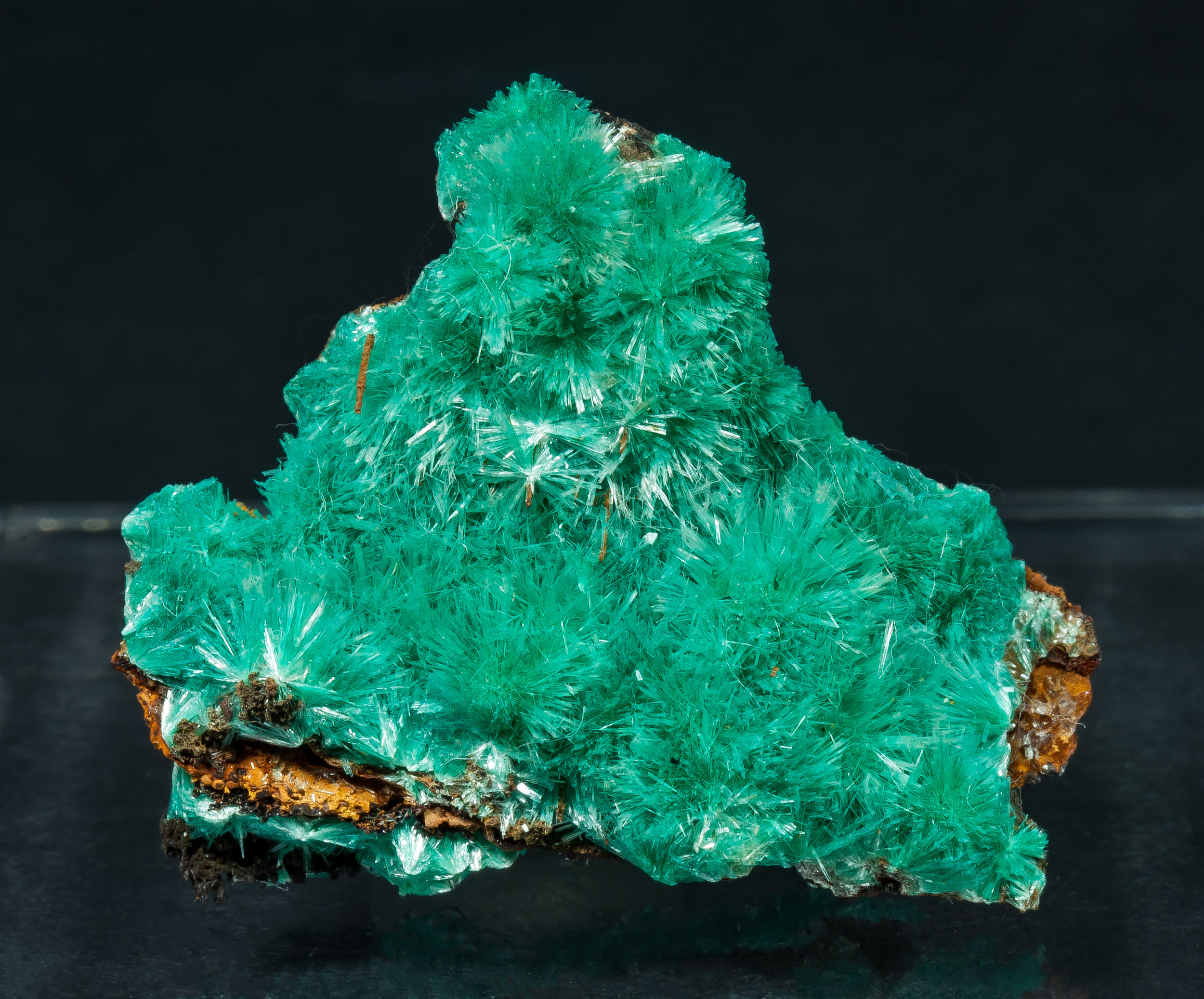 specimens/s_imagesAQ1/Aurichalcite-TPM86AQ1f.jpg