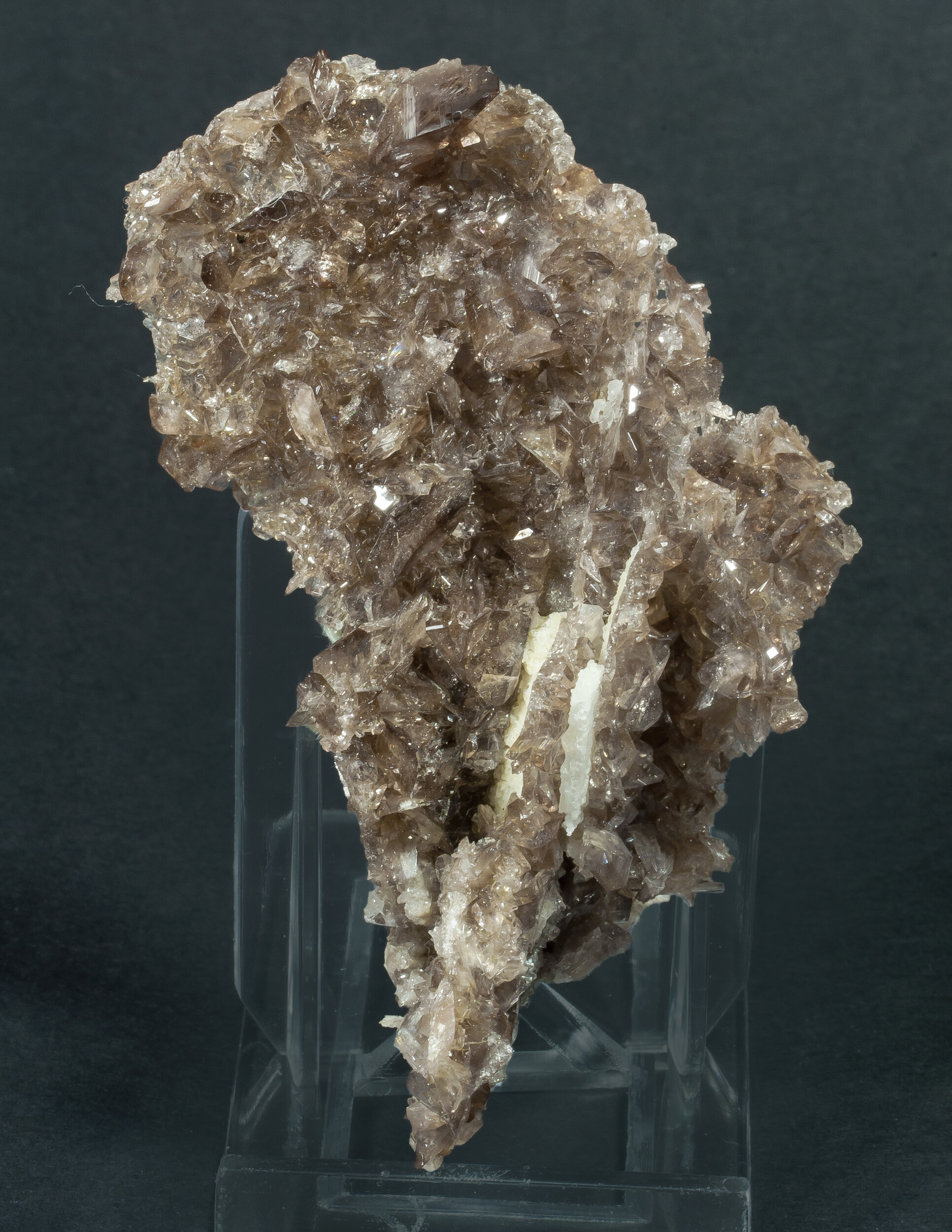 specimens/s_imagesAQ1/Axinite-EPX89AQ1f.jpg