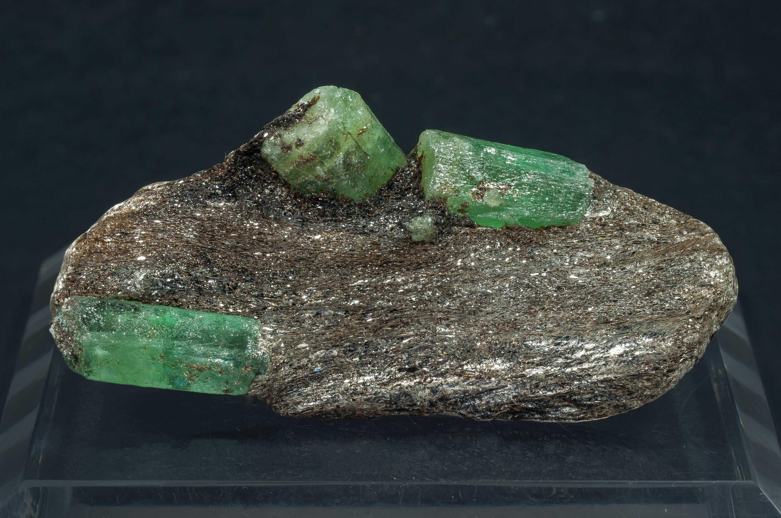 specimens/s_imagesAQ1/Beryl_emerald-ERP91AQ1f.jpg