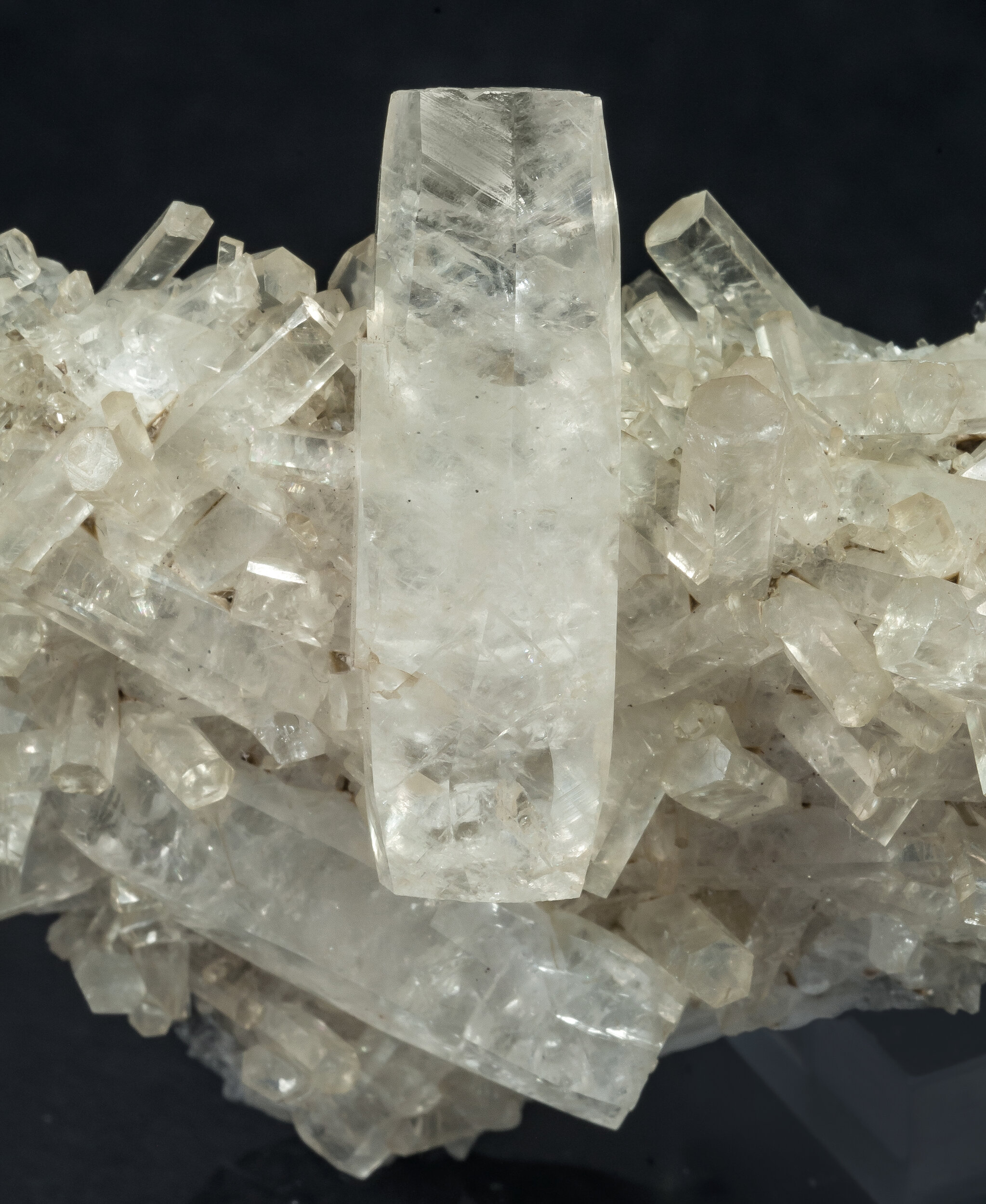specimens/s_imagesAQ1/Calcite-TFR74AQ1d.jpg
