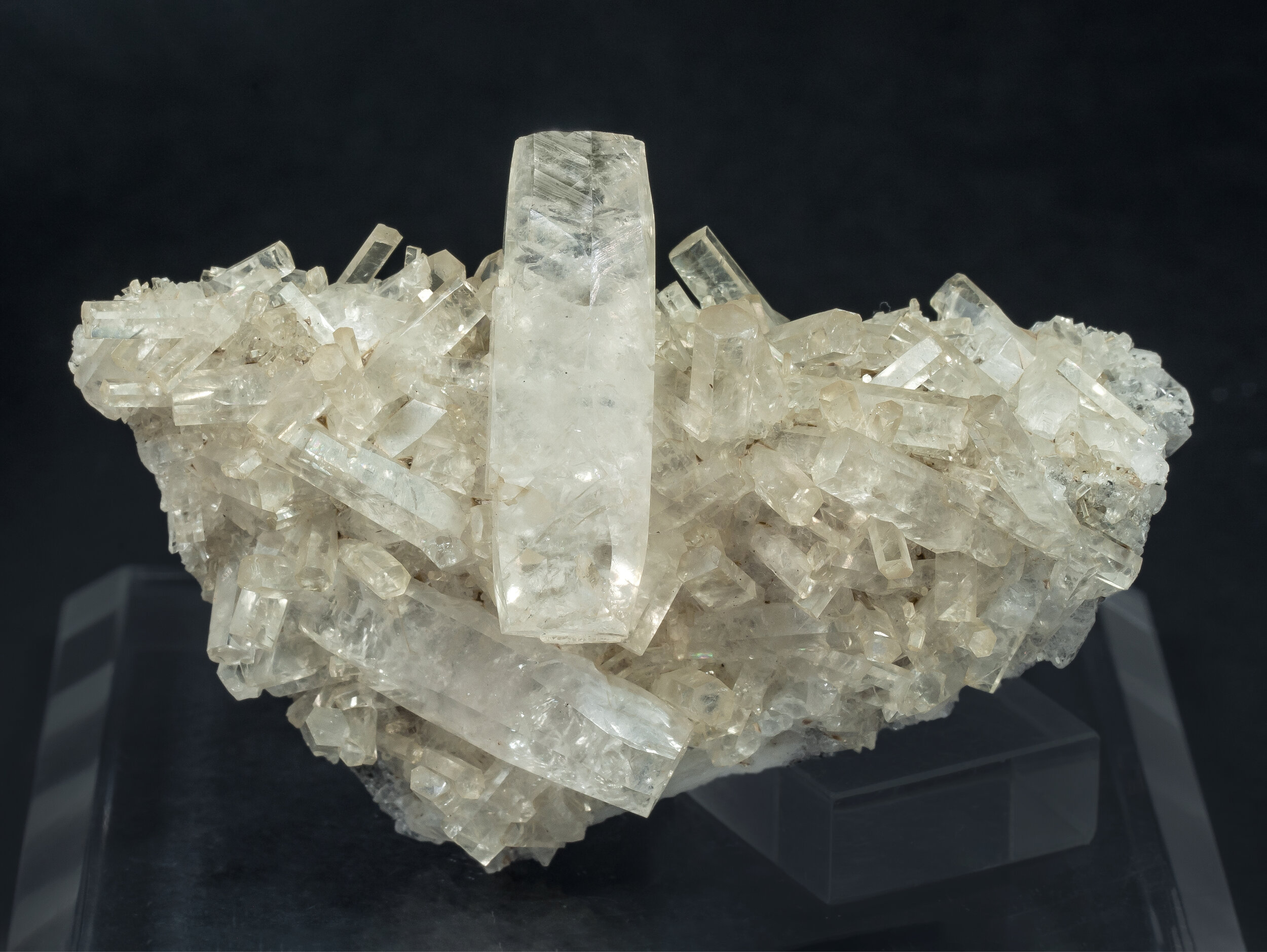 specimens/s_imagesAQ1/Calcite-TFR74AQ1f.jpg