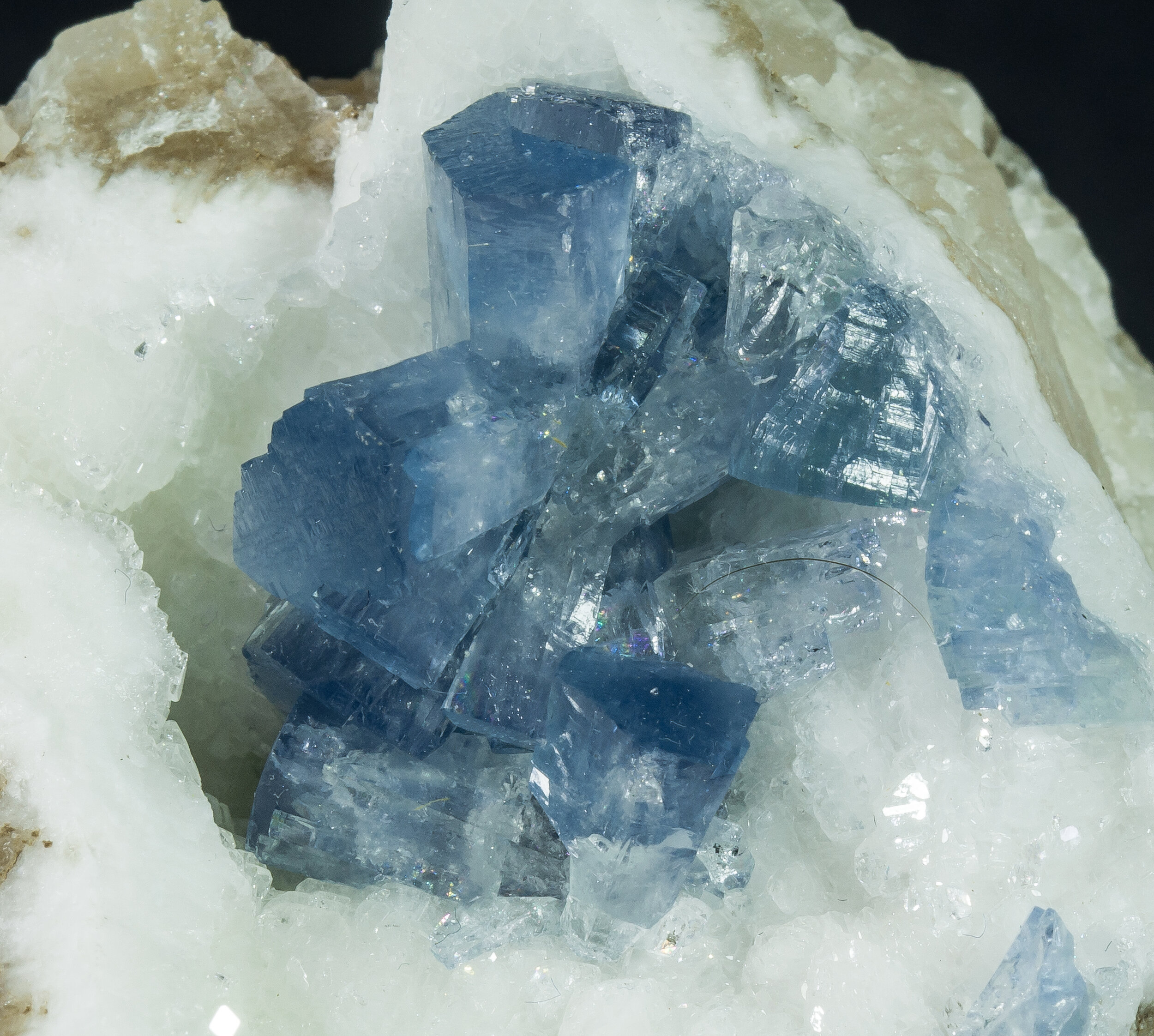 specimens/s_imagesAQ1/Celestine-EMX48AQ1d.jpg