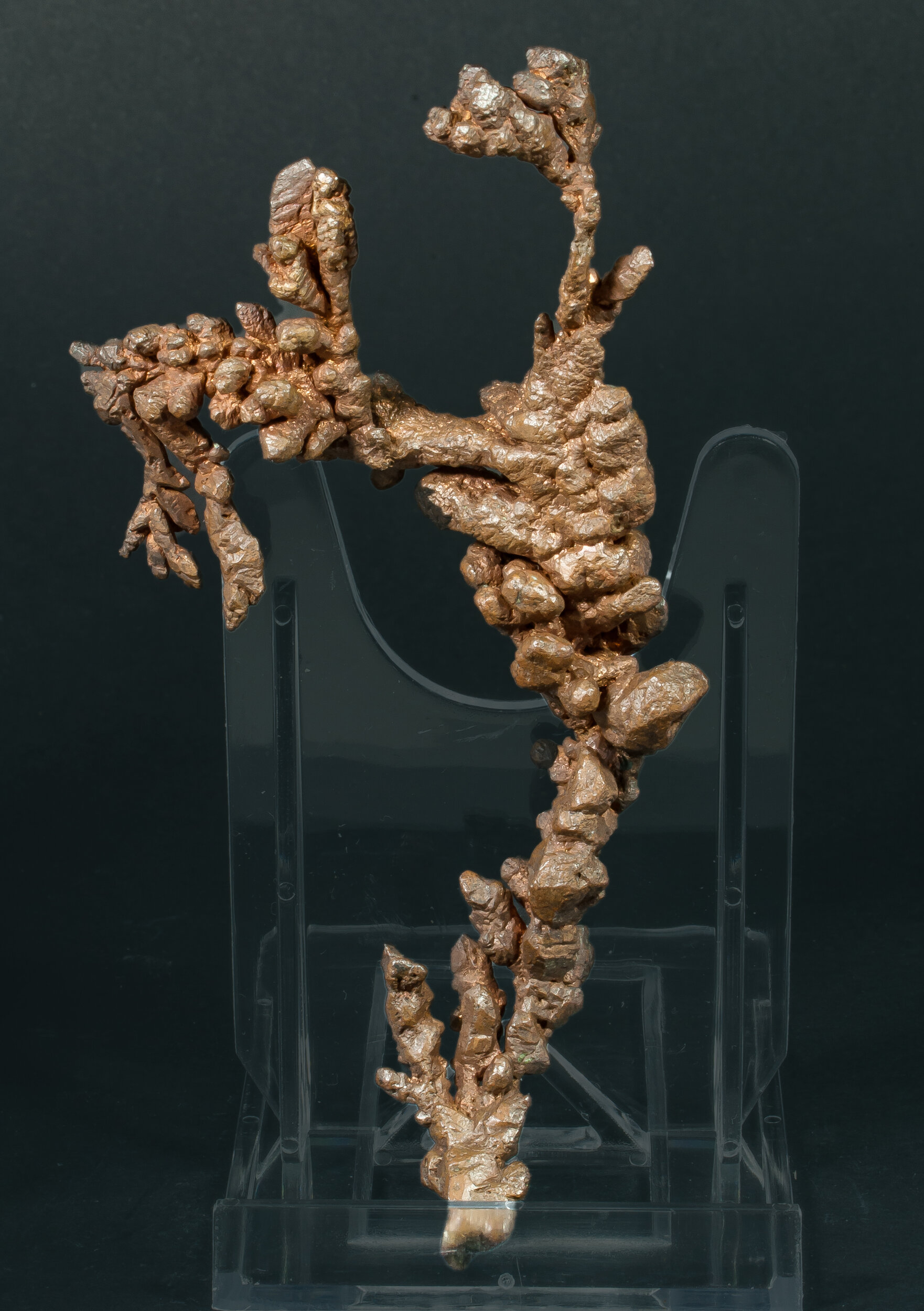specimens/s_imagesAQ1/Copper-ERB92AQ1f.jpg