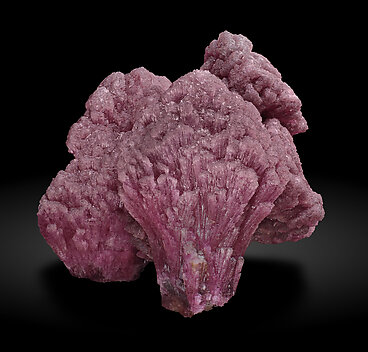 Elbaite-Schorl Series (variety 'mushroom'). Front / Photo: Joaquim Calln