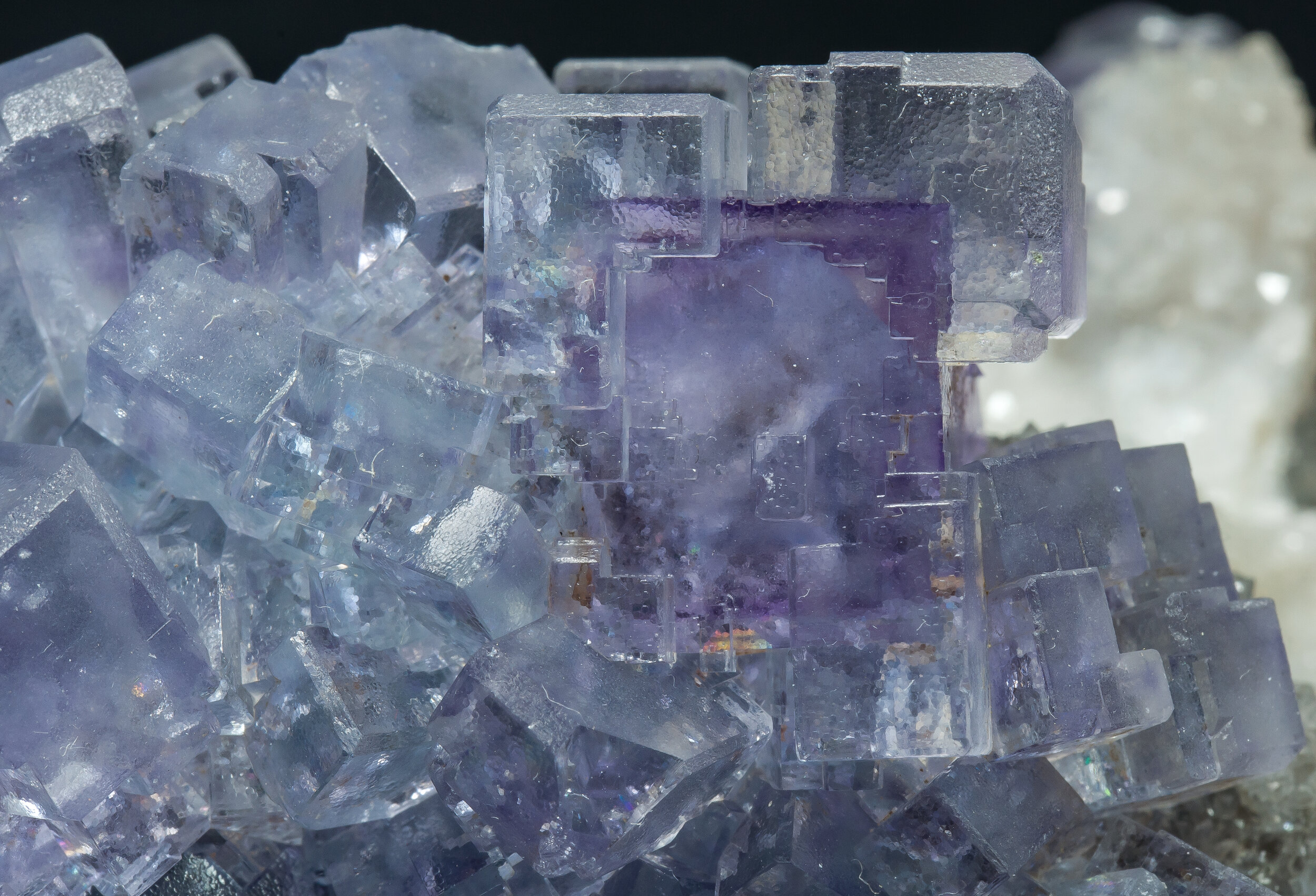 specimens/s_imagesAQ1/Fluorite-JFD241AQ1d.jpg
