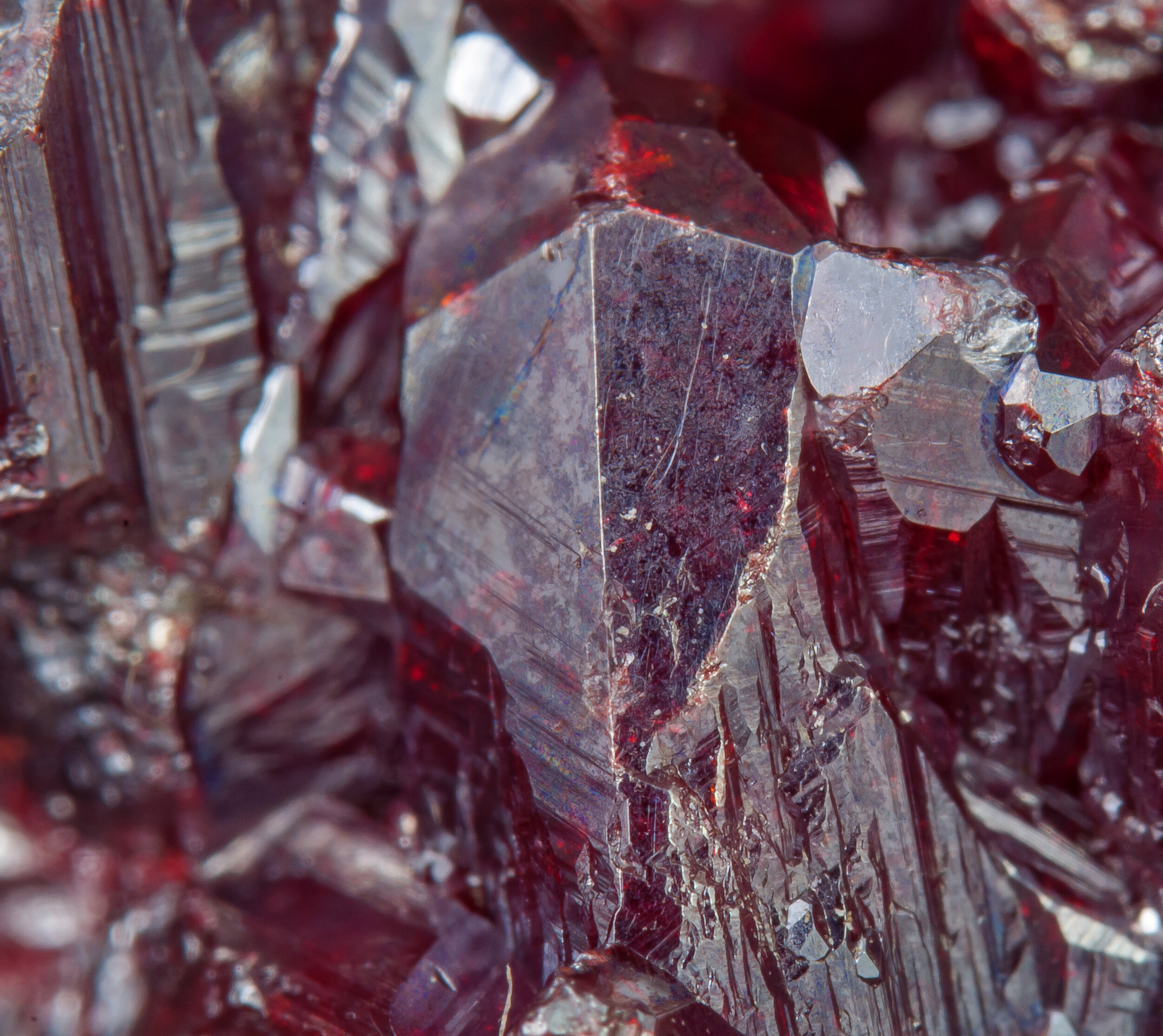 specimens/s_imagesAQ1/Proustite-ETR67AQ1d.jpg