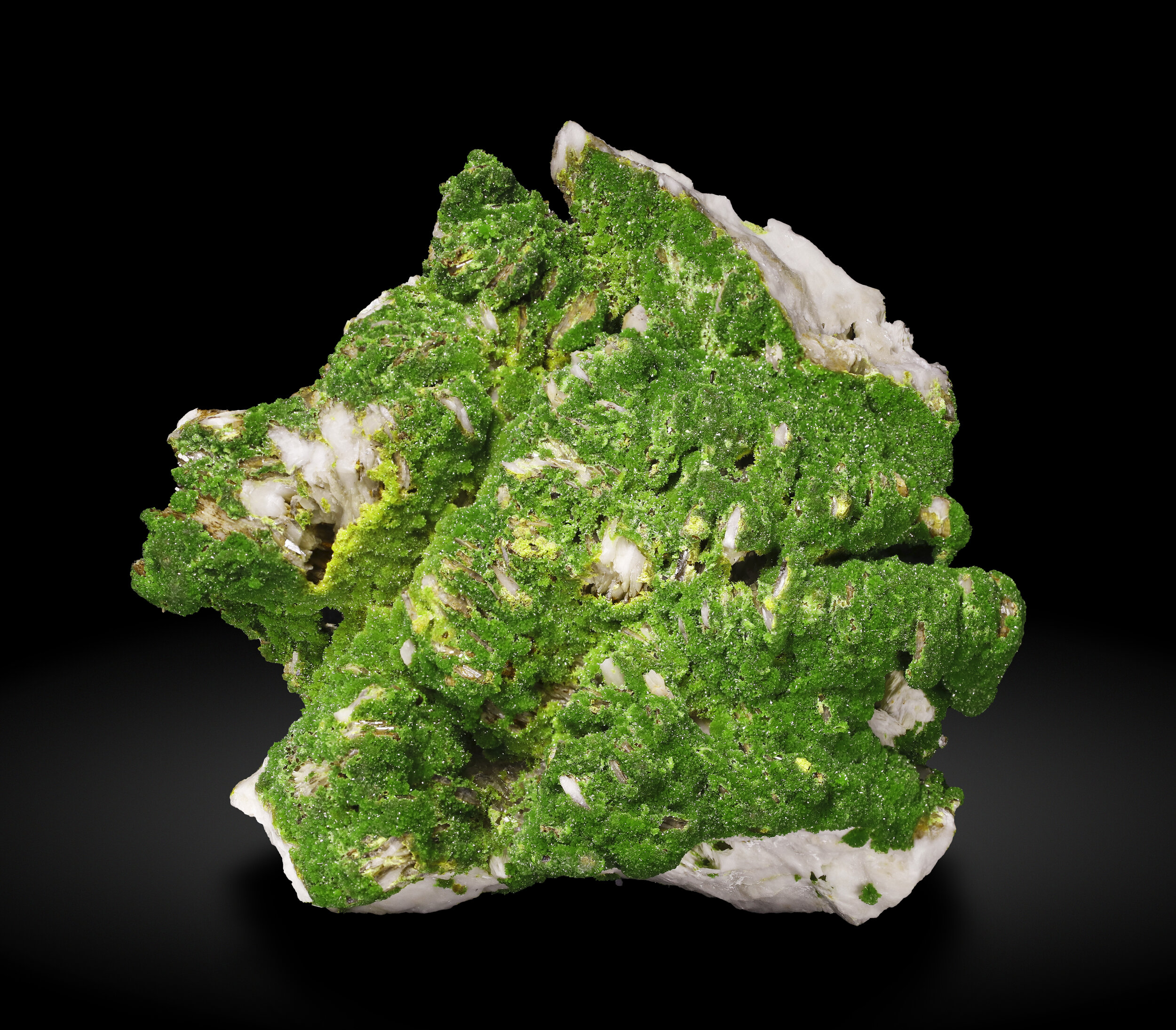 specimens/s_imagesAQ1/Pyromorphite-ETR47AQ1_1254_f.jpg