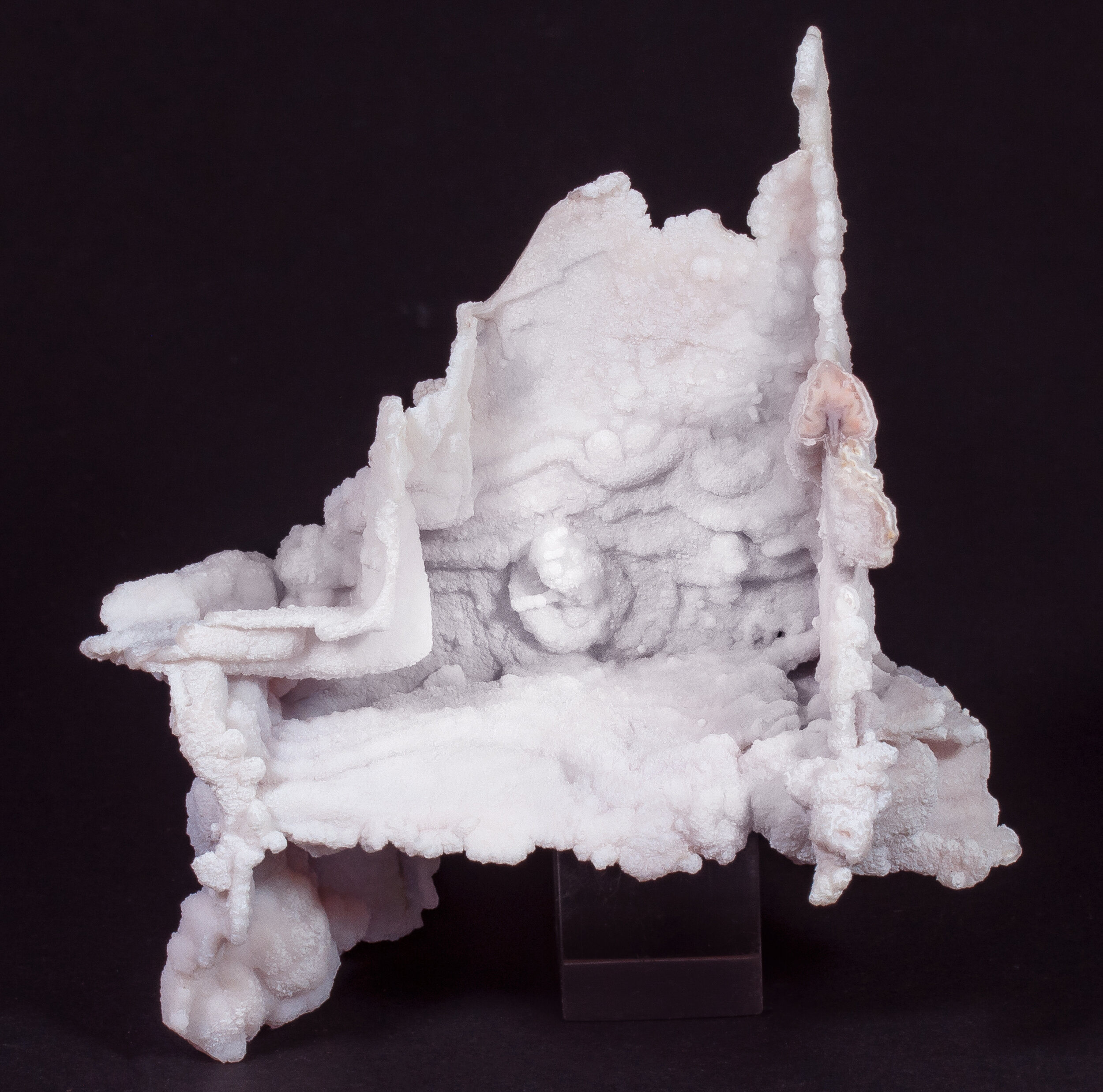 specimens/s_imagesAQ1/SV3130EJR.jpg
