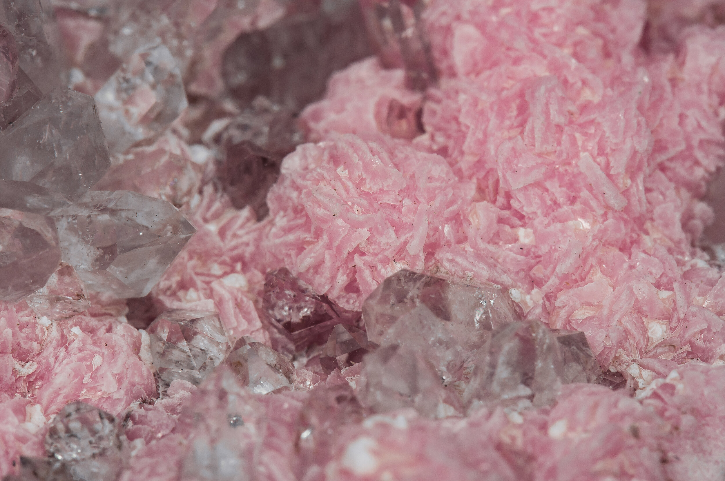 specimens/s_imagesAQ1/SV3140EJK-detail.jpg