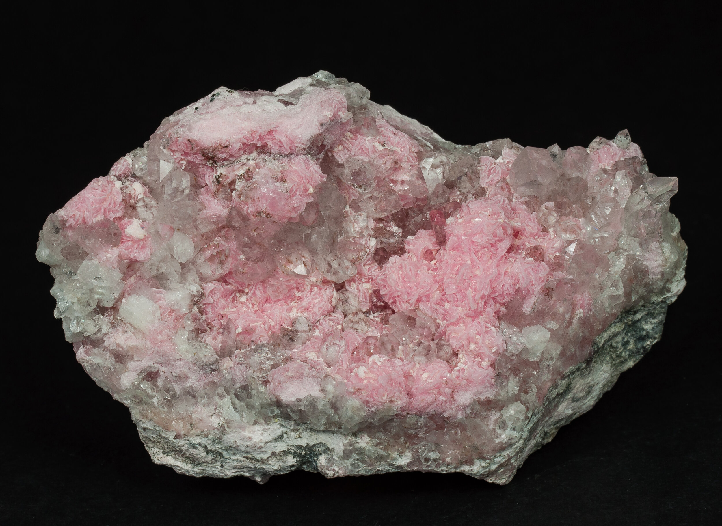 specimens/s_imagesAQ1/SV3140EJK.jpg