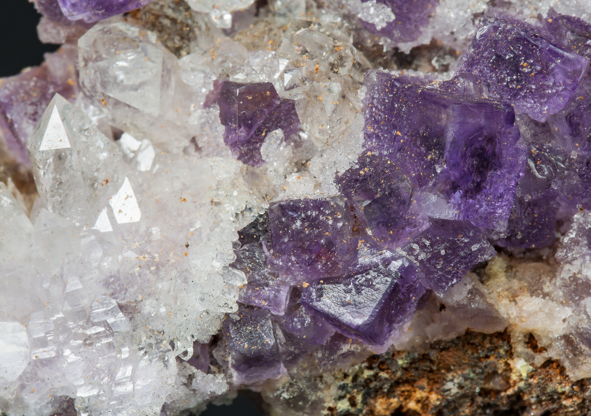 specimens/s_imagesAQ1/SV3190NTF-detail.jpg