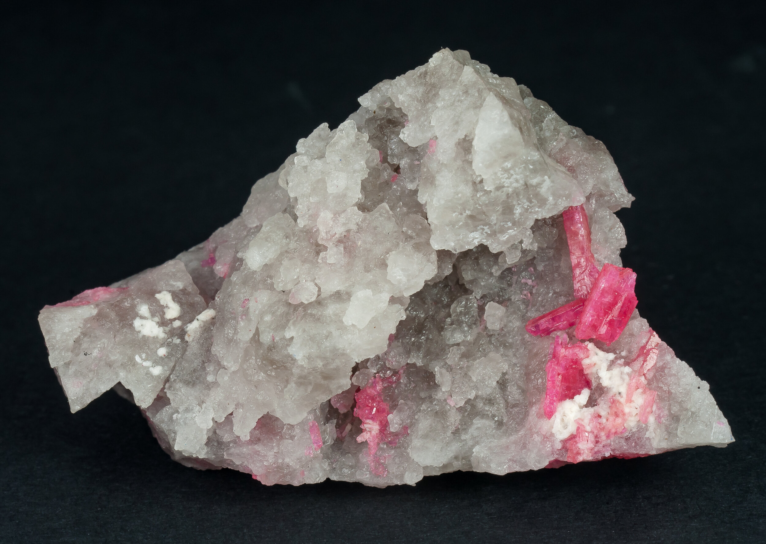 specimens/s_imagesAQ1/SV3240TJA.jpg