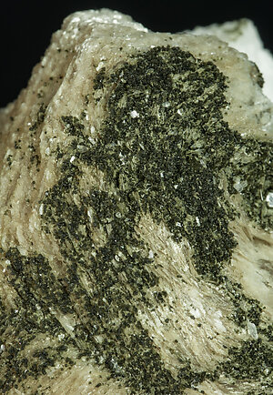 Greifensteinite with Muscovite and Albite