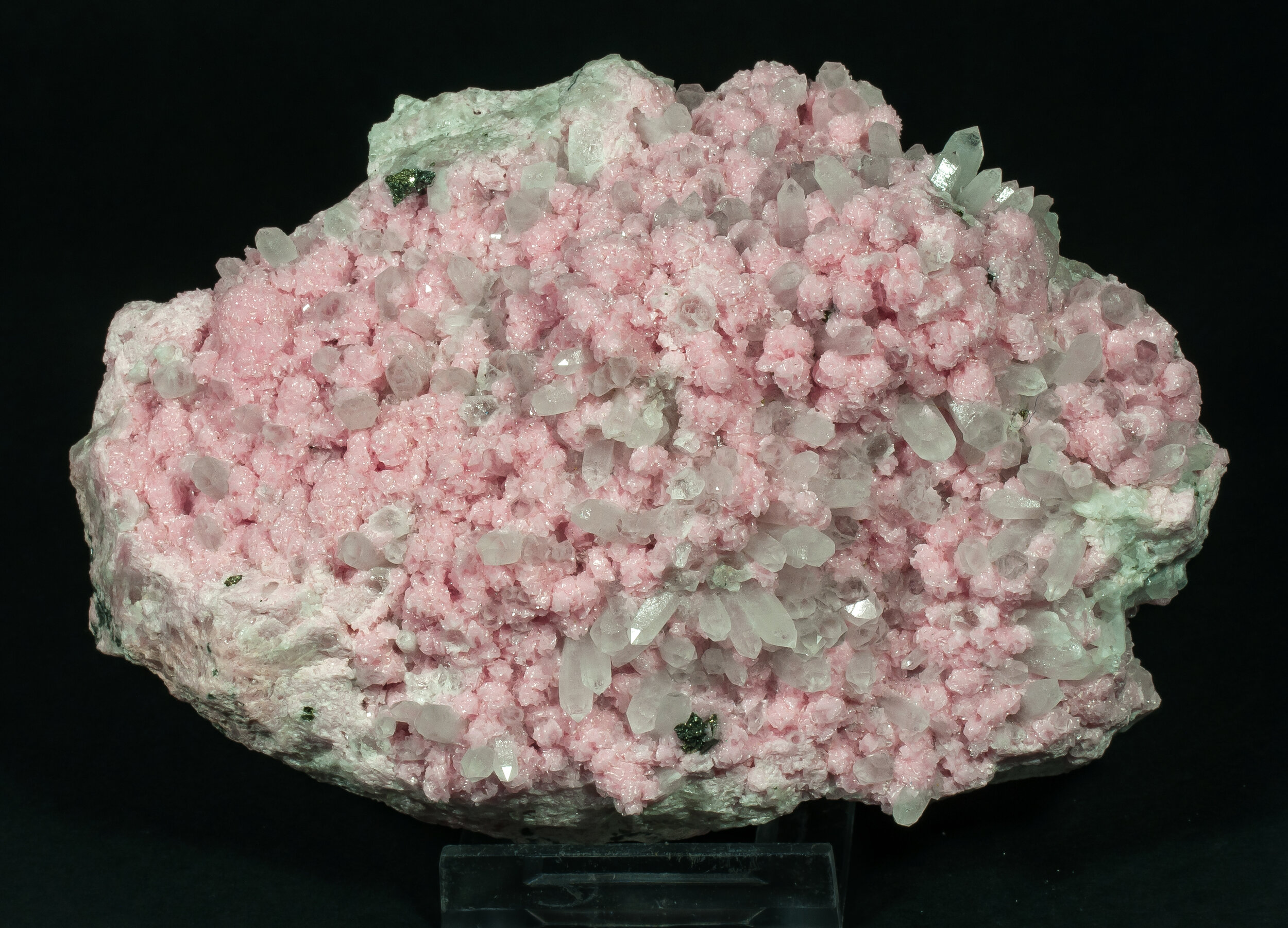 specimens/s_imagesAQ1/SV3290EFG.jpg
