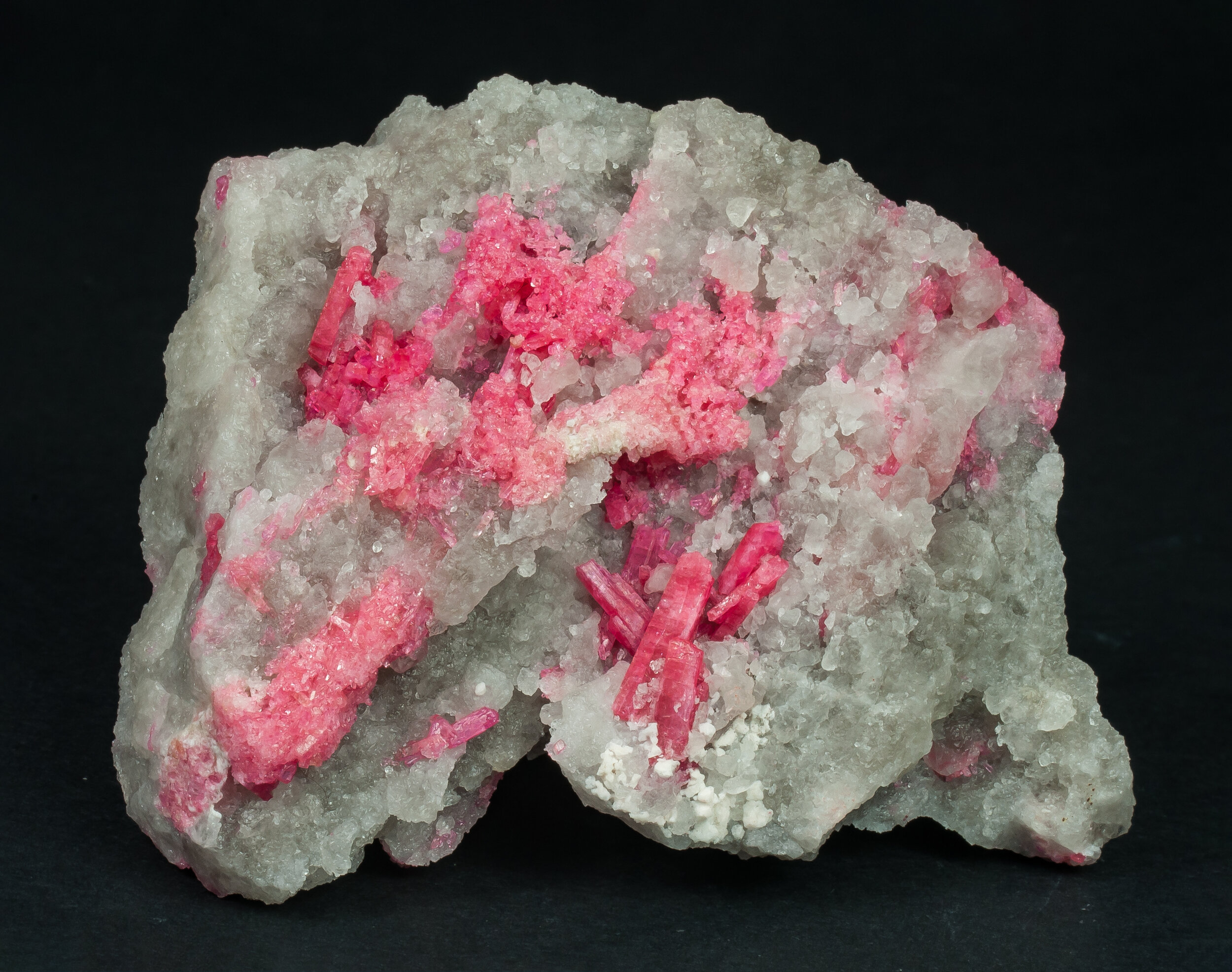 specimens/s_imagesAQ1/SV3640TFR.jpg