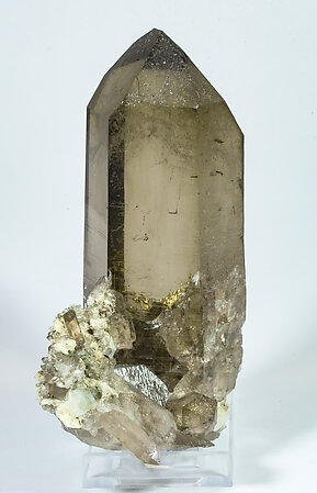 Quartz (variety smoky quartz) with Albite