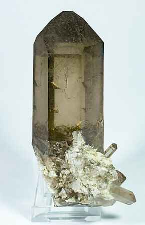 Quartz (variety smoky quartz) with Albite