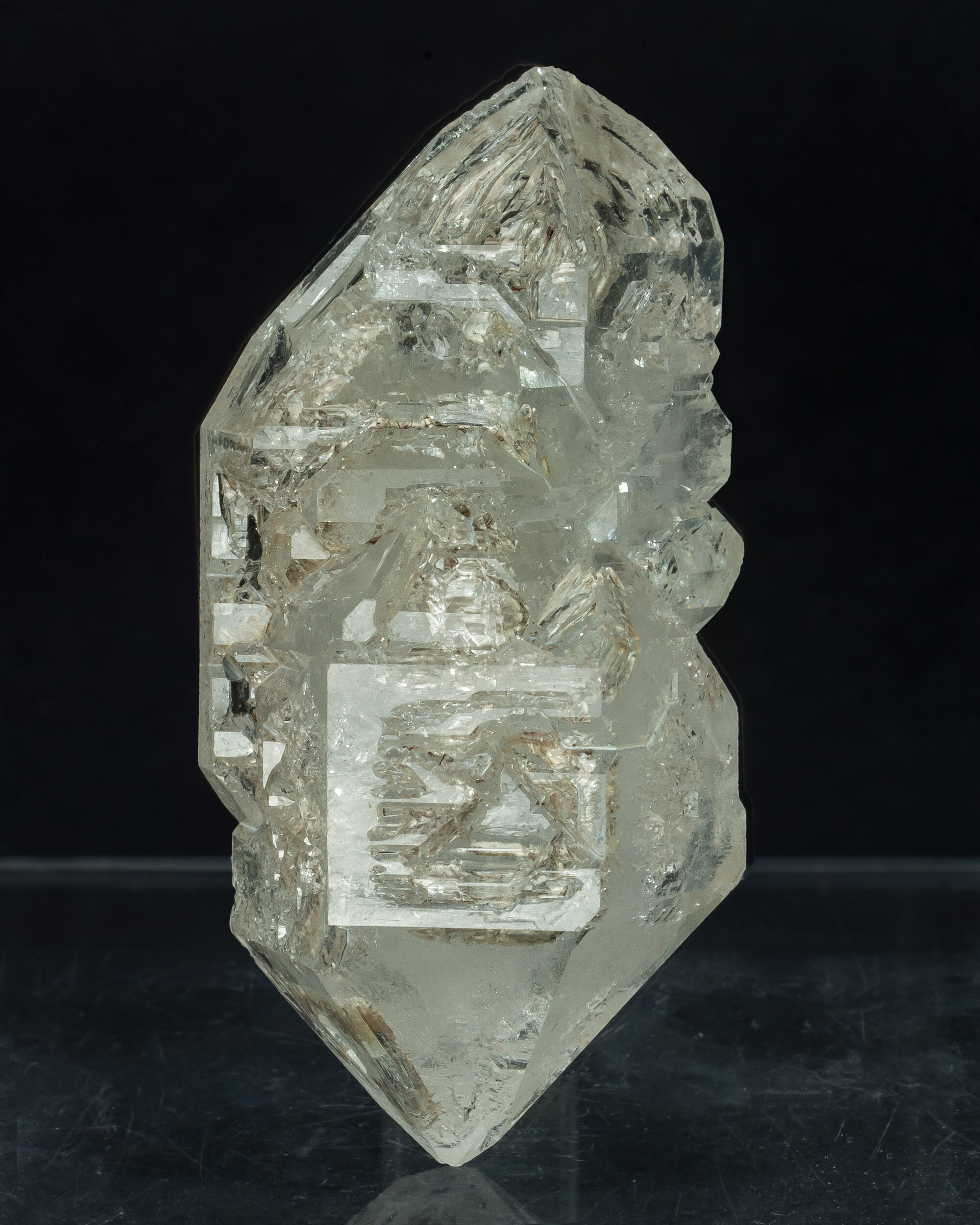 specimens/s_imagesAQ1/SV390ETE.jpg