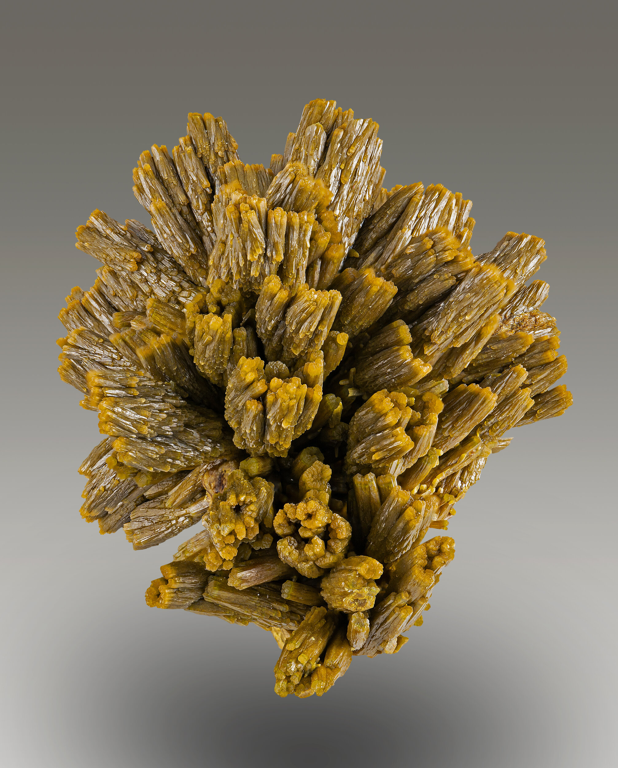 specimens/s_imagesASN1/Pyromorphite-TPA1ASN1f.jpg